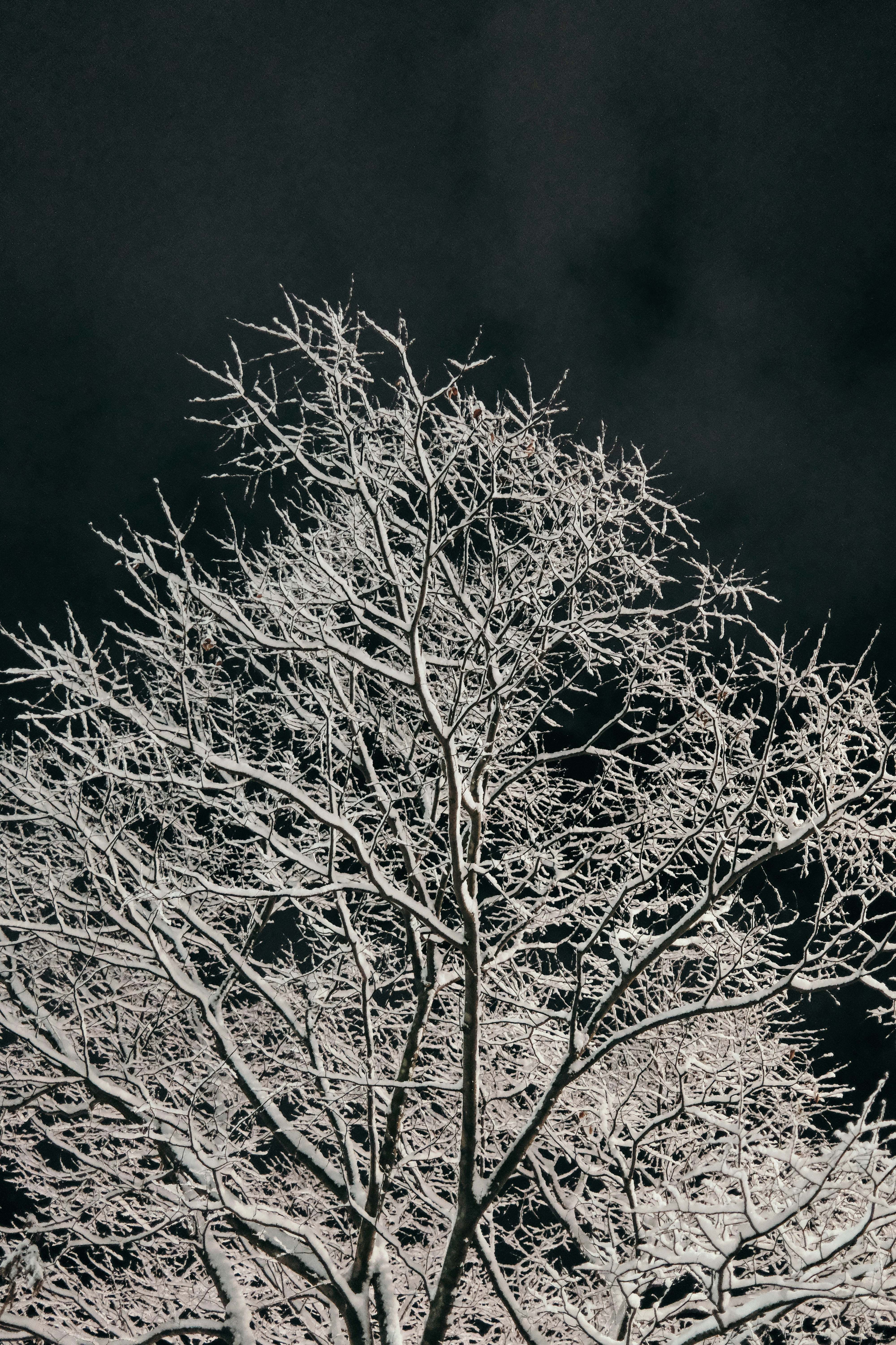 Photo by insungpandora