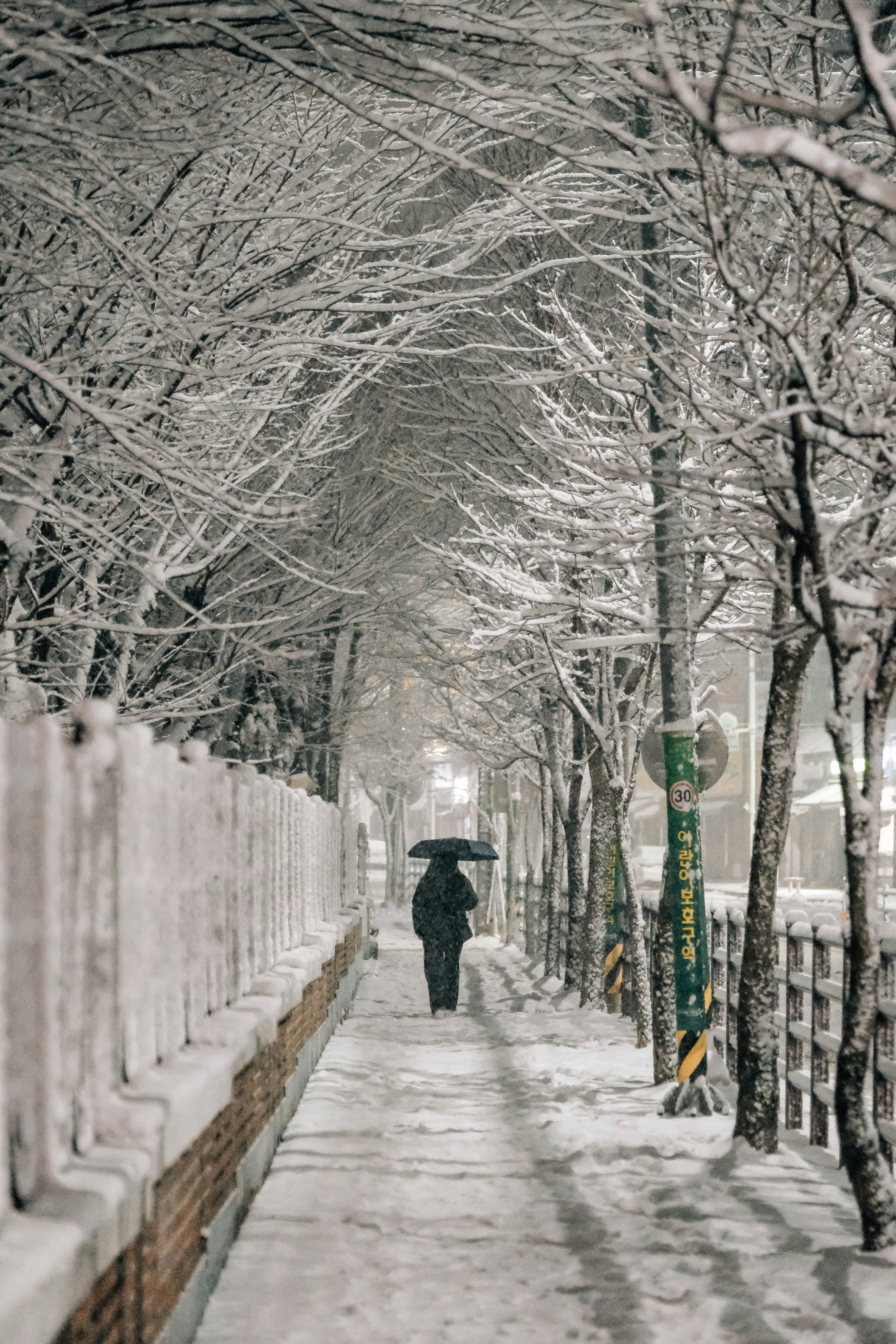 Photo by insungpandora