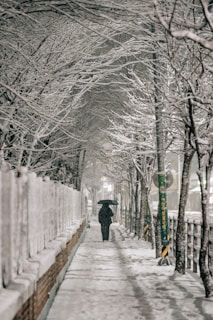 A person walking down a snow covered sidewalk