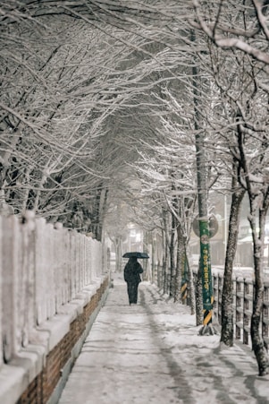 A person walking down a snow covered sidewalk