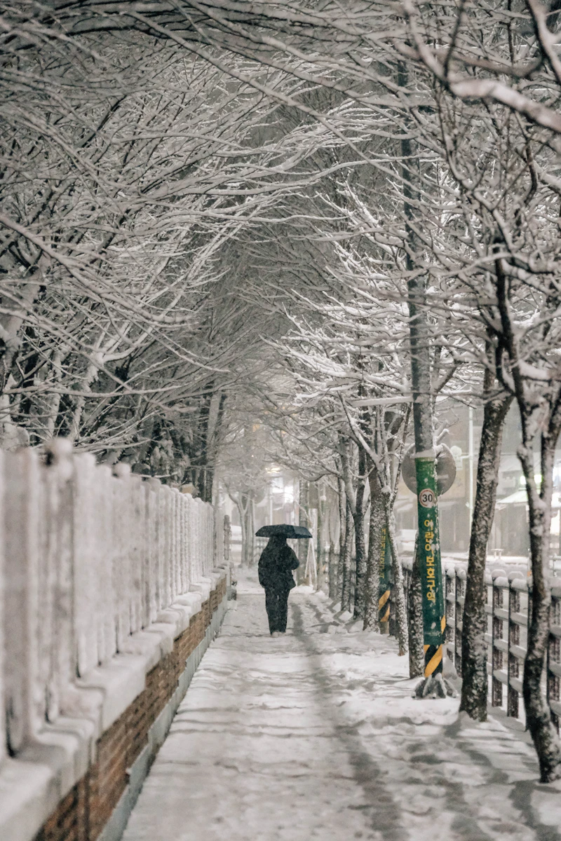Edmonton winter snow removal walkway clearing