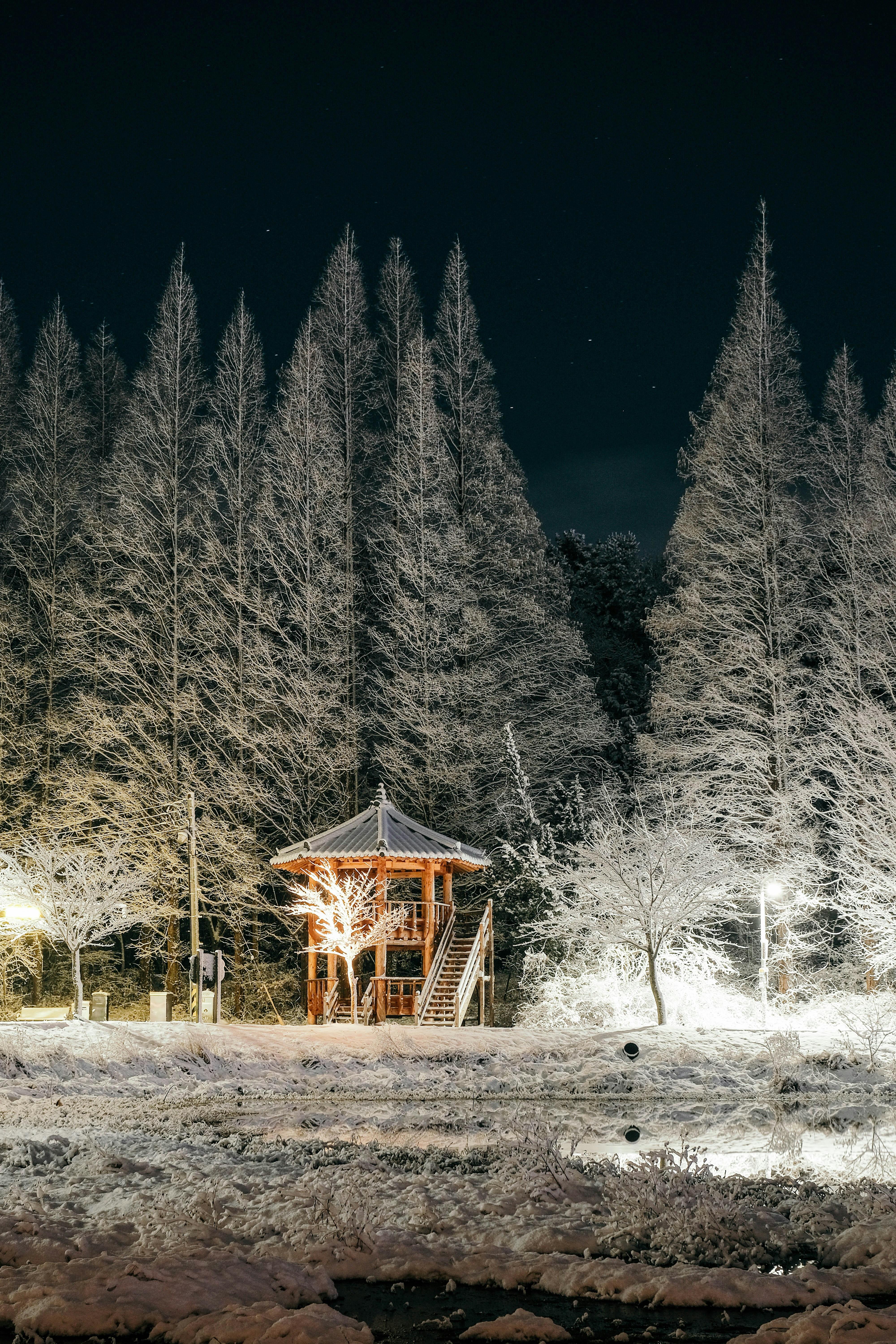 Slovenia on the Road: 7 Giorni tra Natura, Borghi e Meraviglie Nascoste. –  agirlandhermagicworld, image size:3000x4500