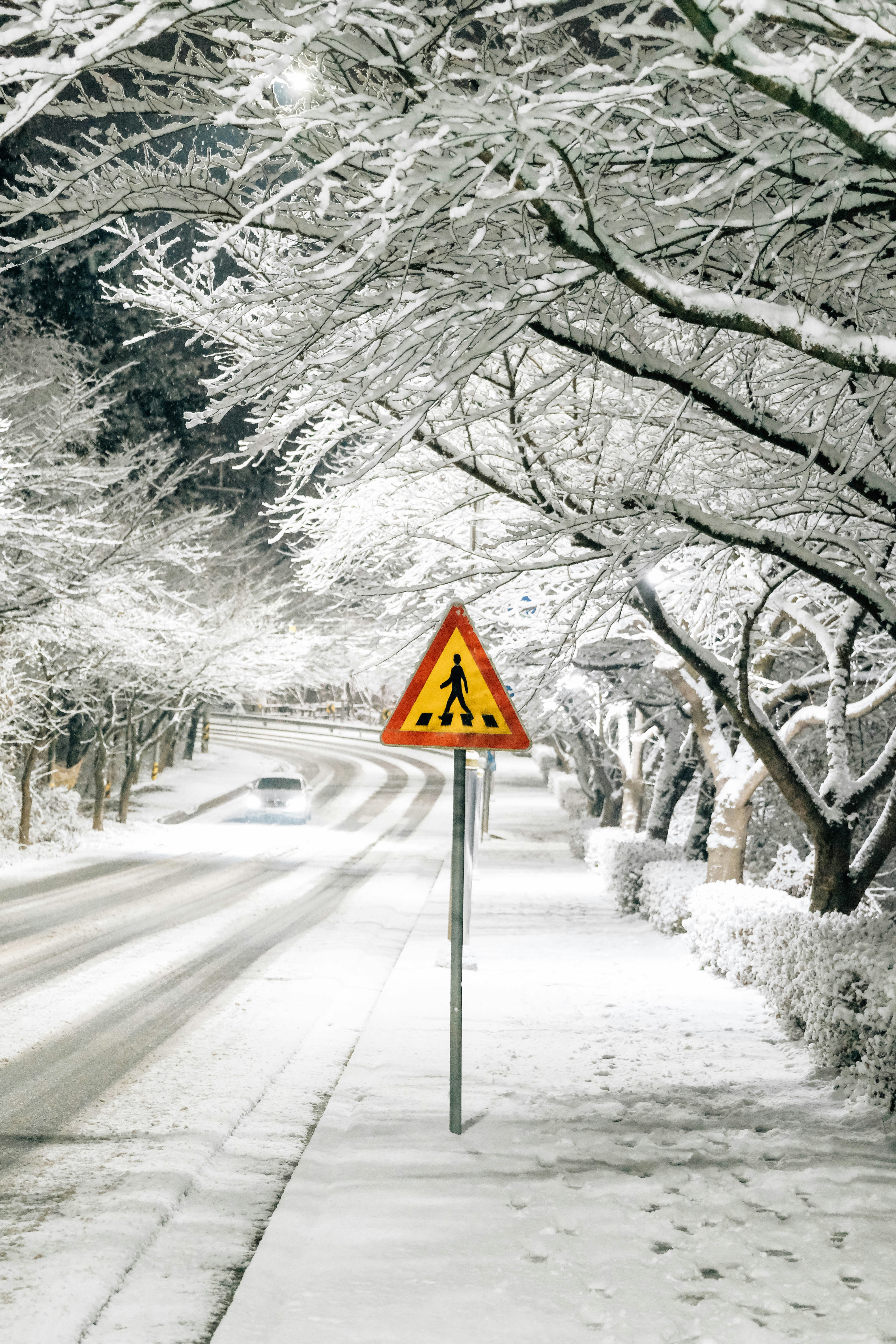 Photo by insungpandora