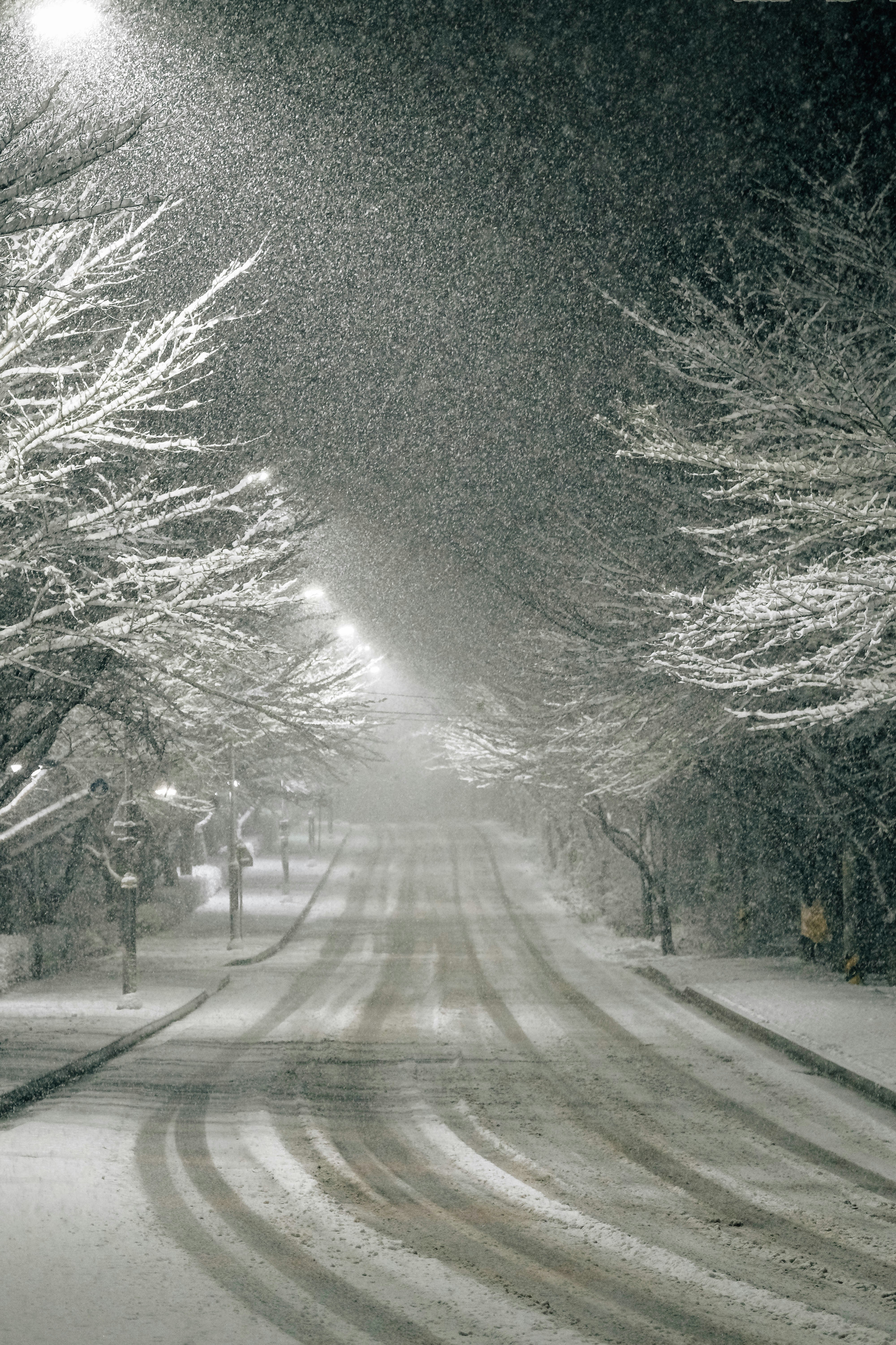 Photo by insungpandora