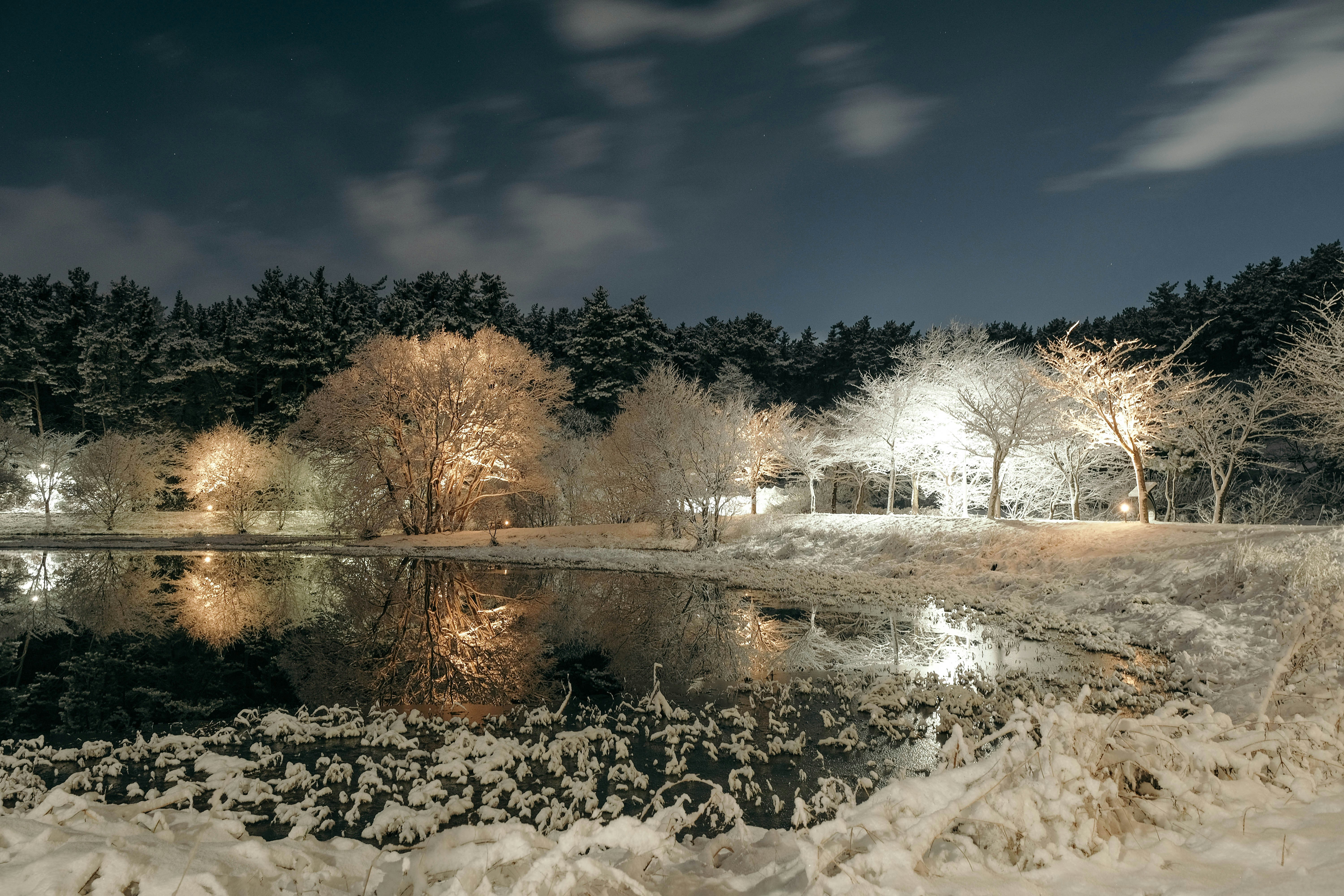how do solar lawn lights work in winter
