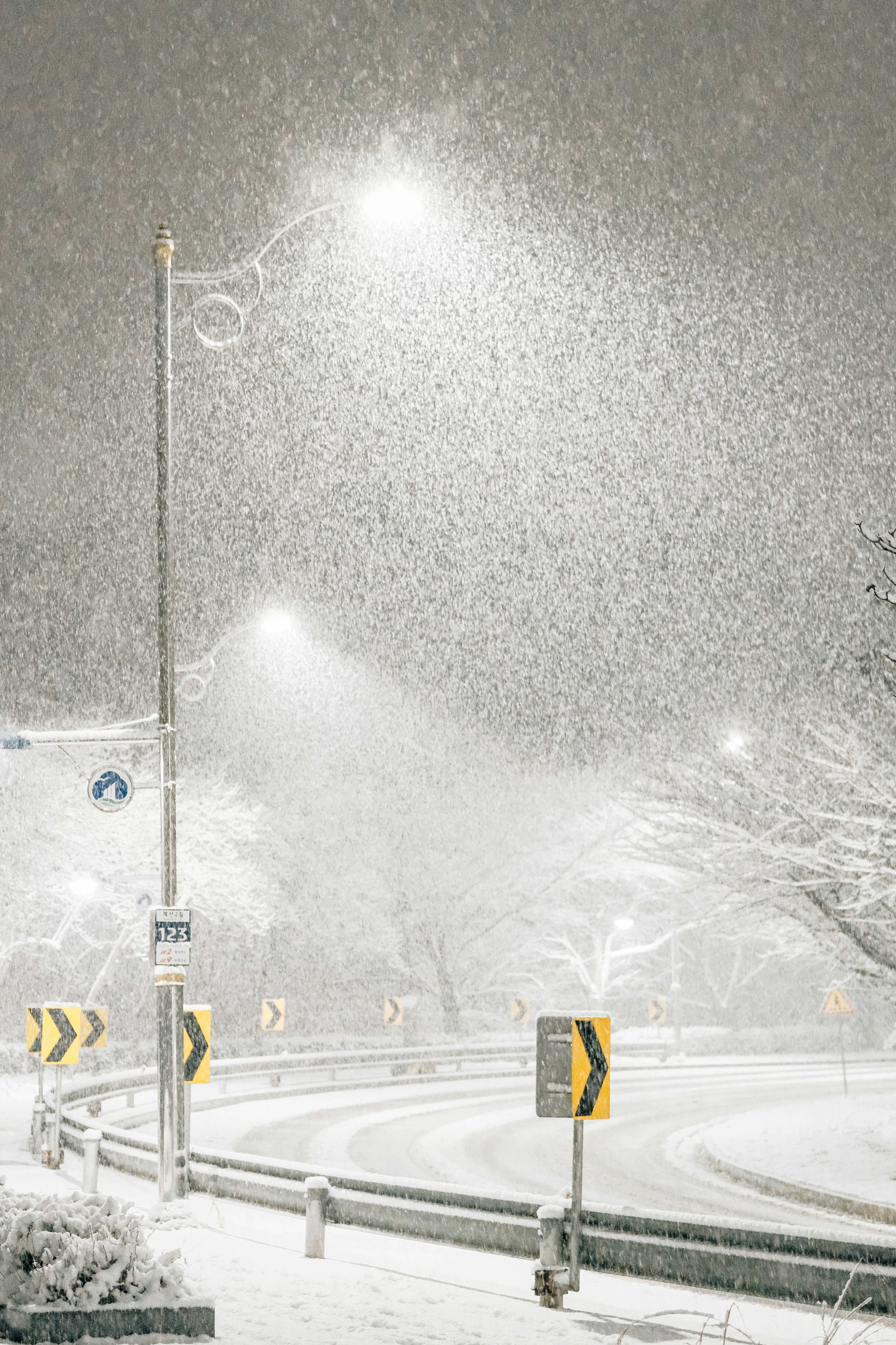 Photo by insungpandora