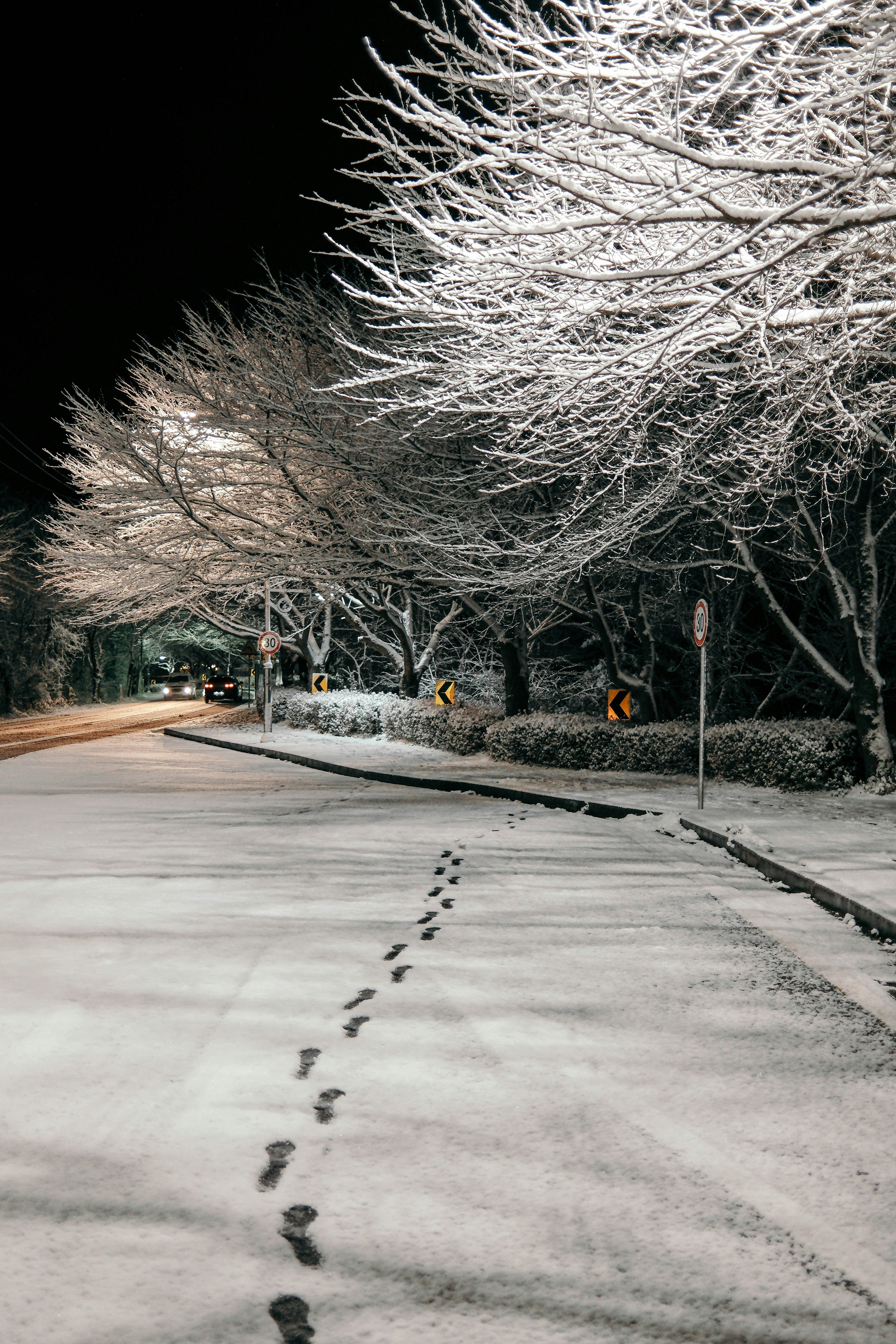 Photo by insungpandora