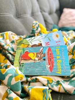 A book sitting on top of a blanket on a couch