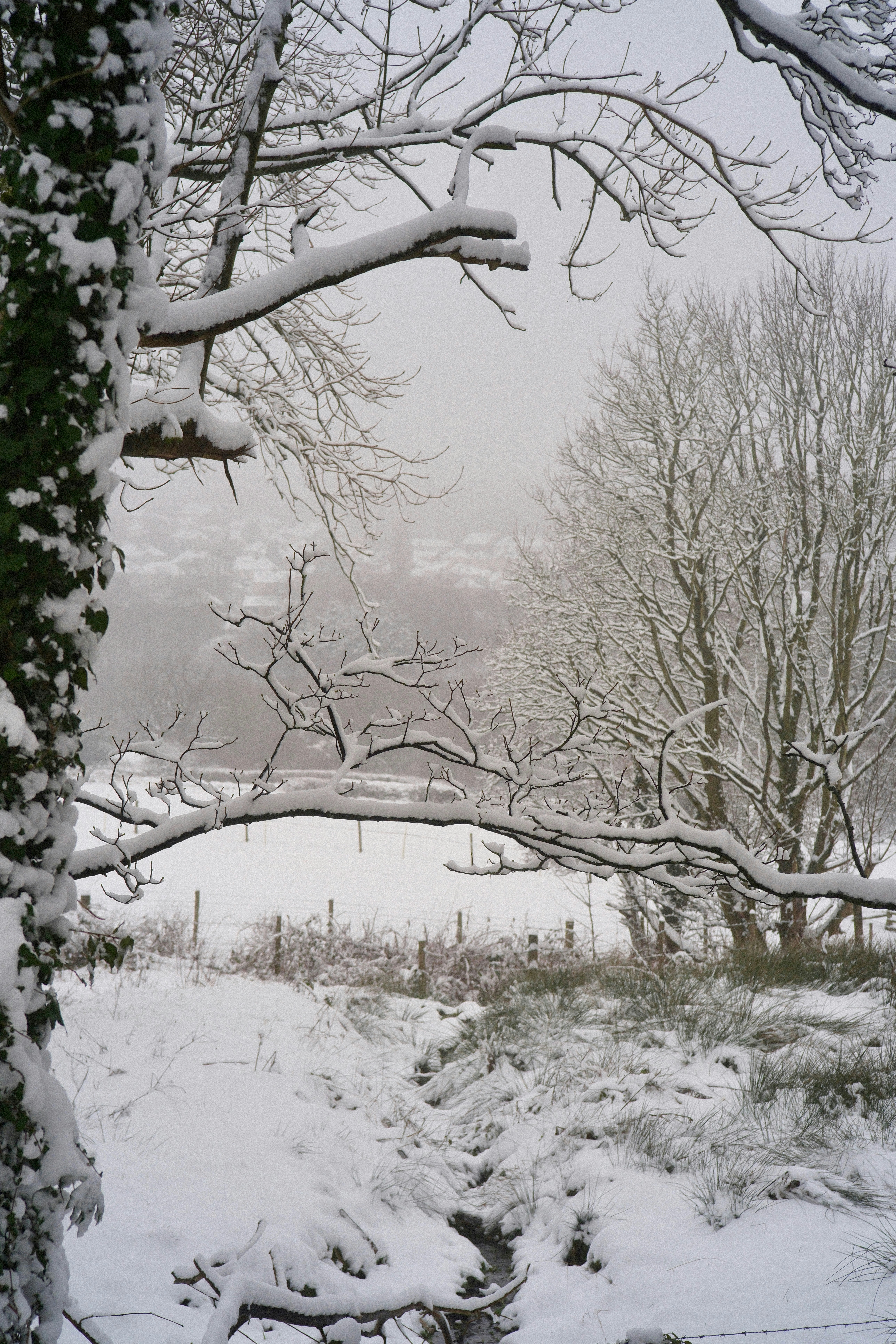 Photo by alekseixagafonov