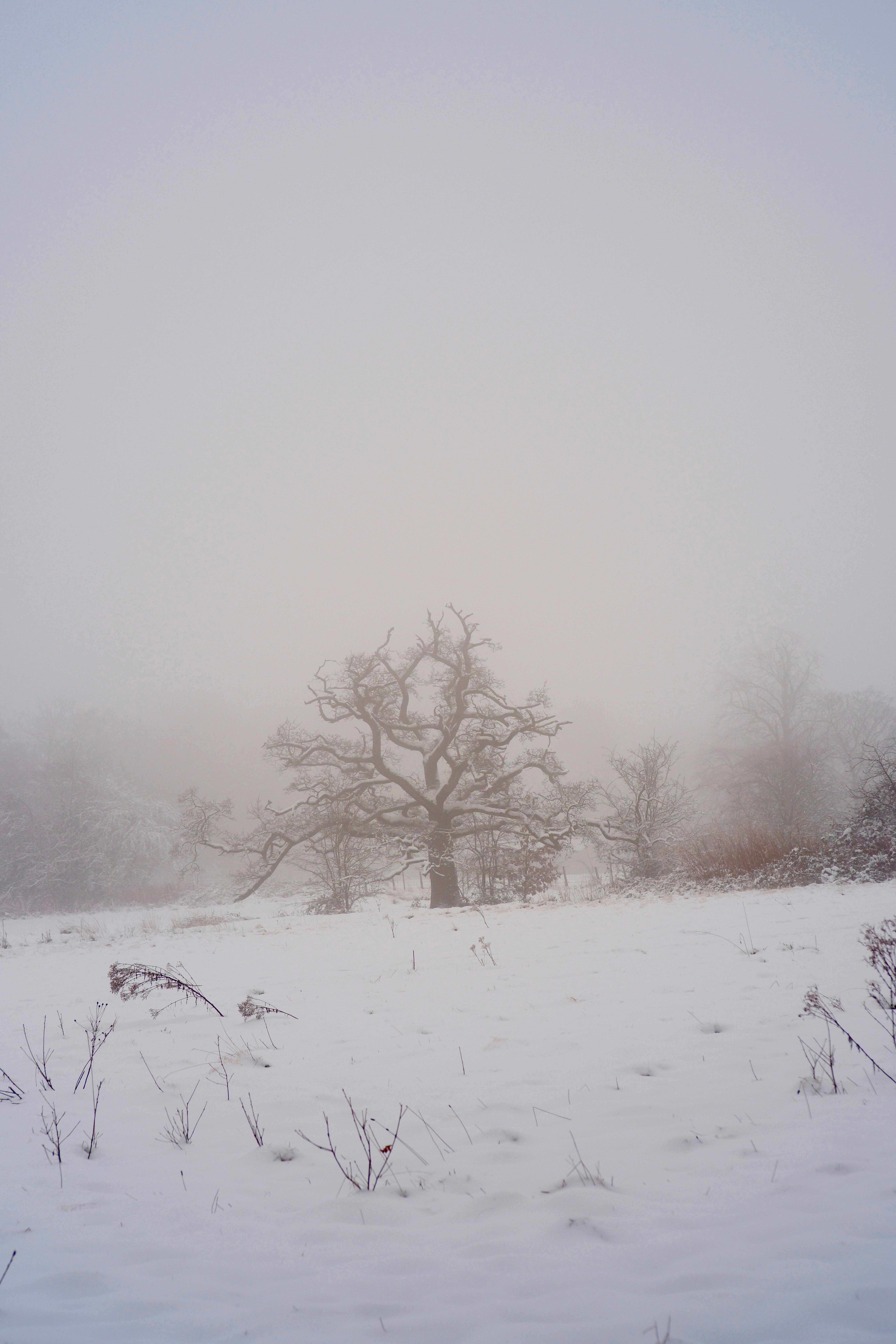 Photo by alekseixagafonov