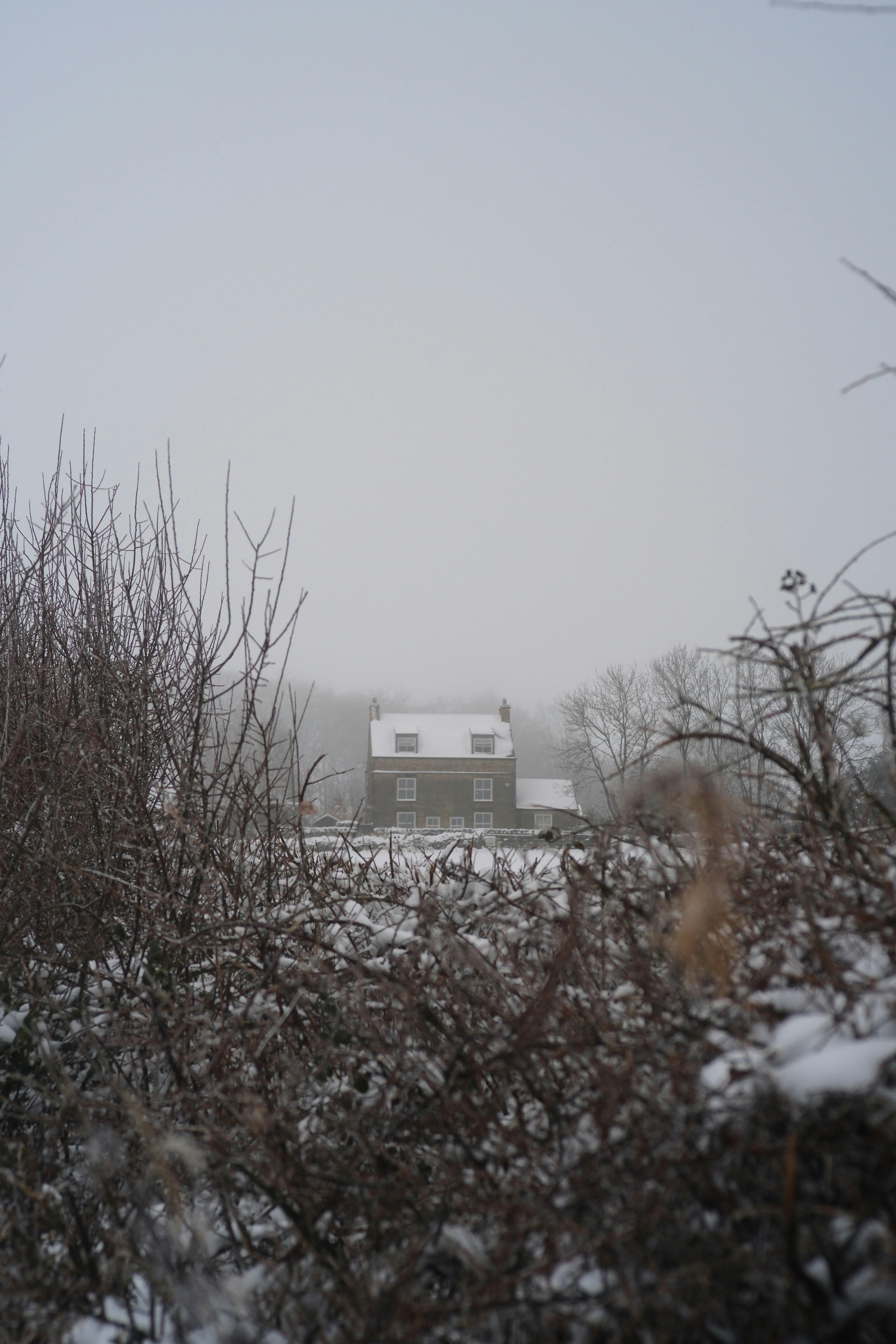 Photo by alekseixagafonov