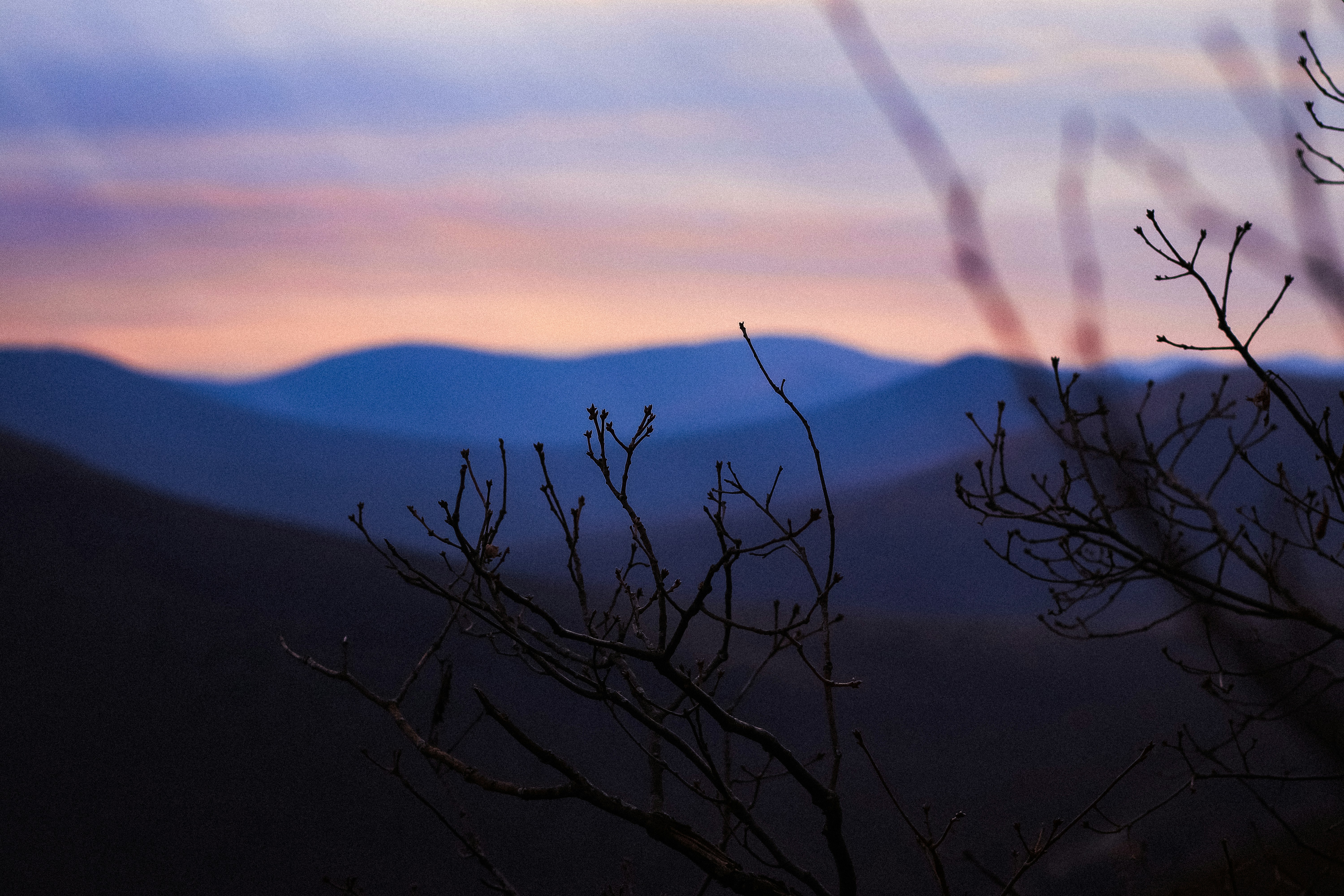 Photo by angelovehearts