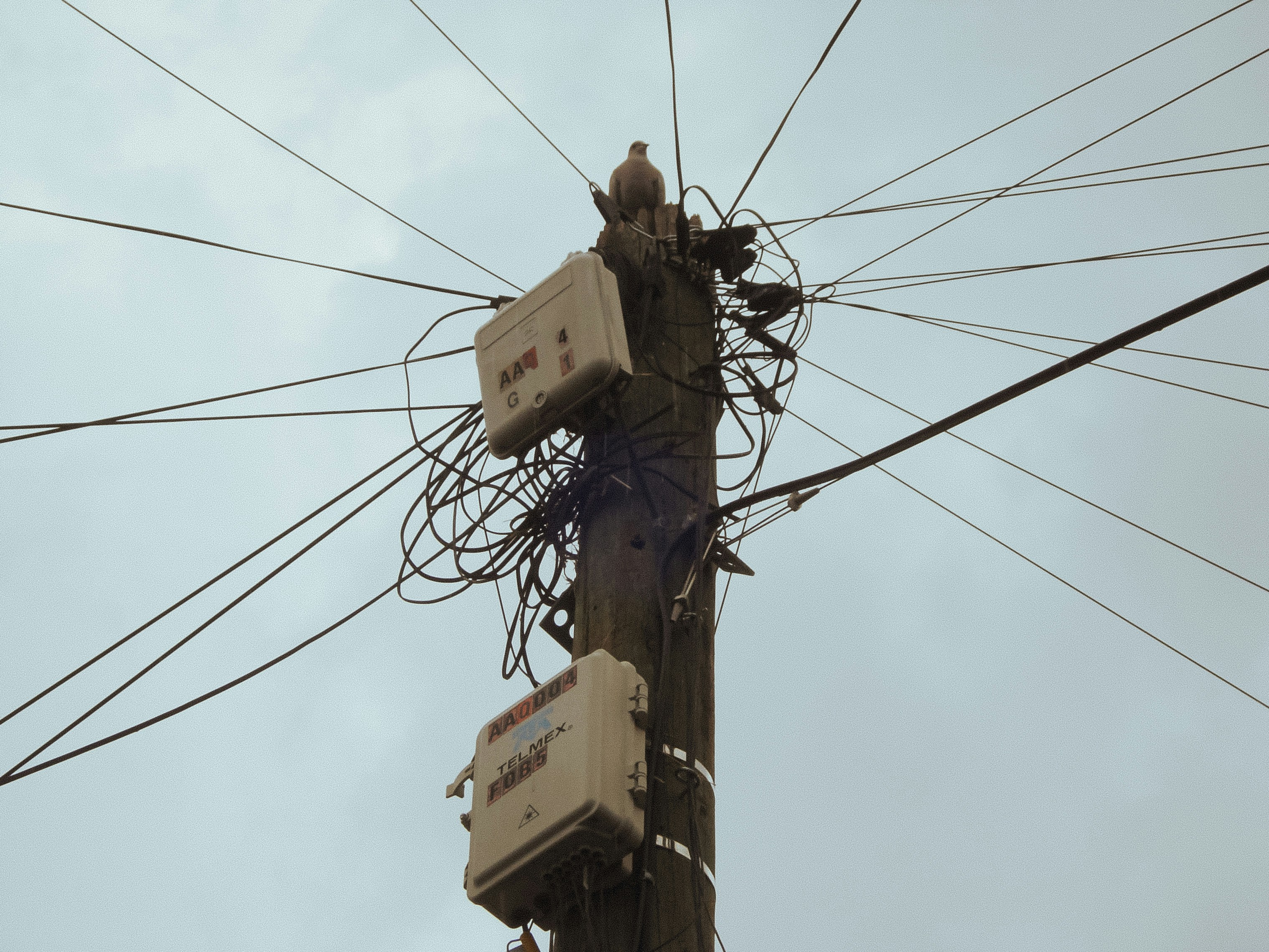 A telephone pole with two boxes on top of it