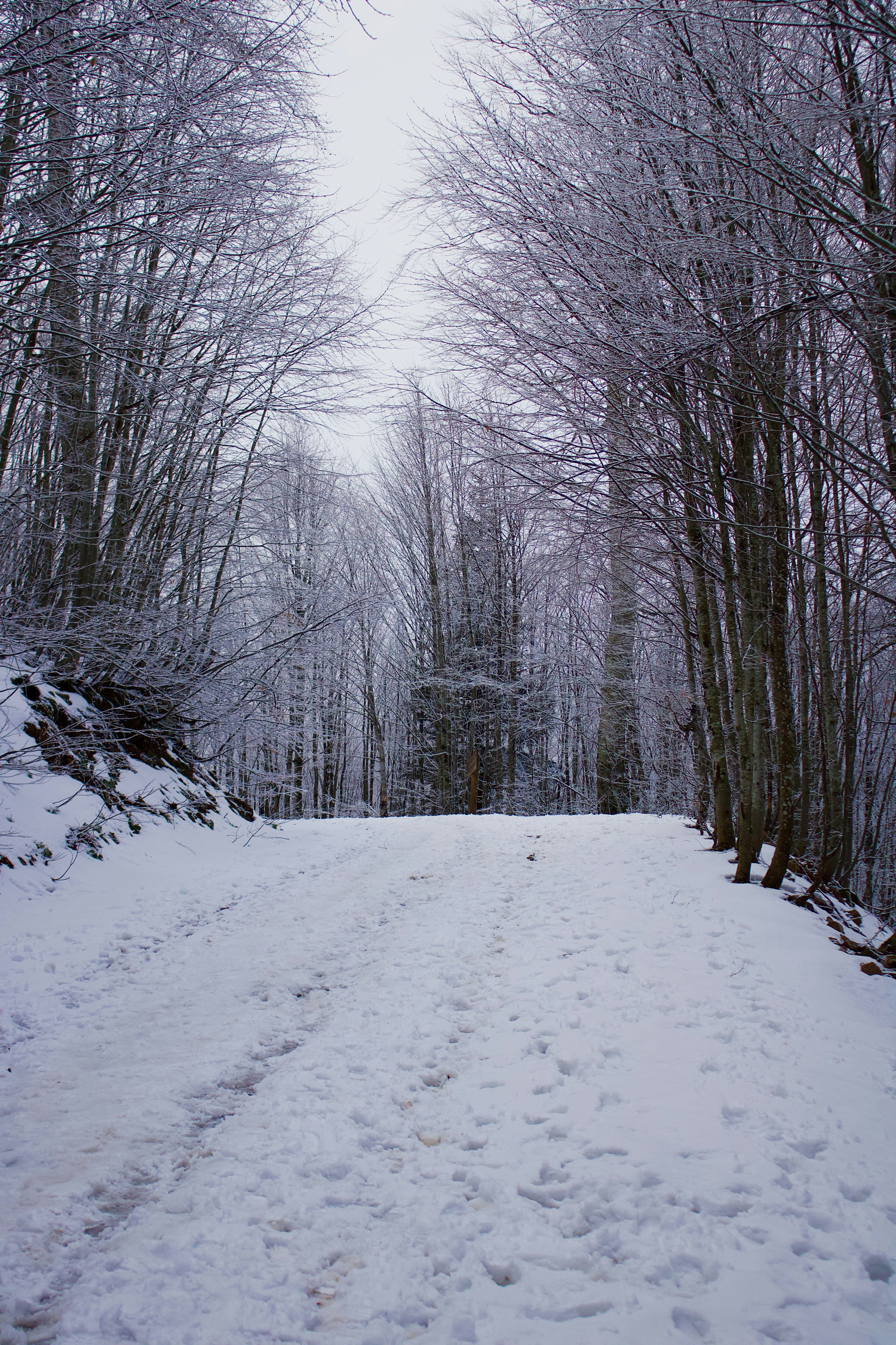 Photo by tahaberktekin