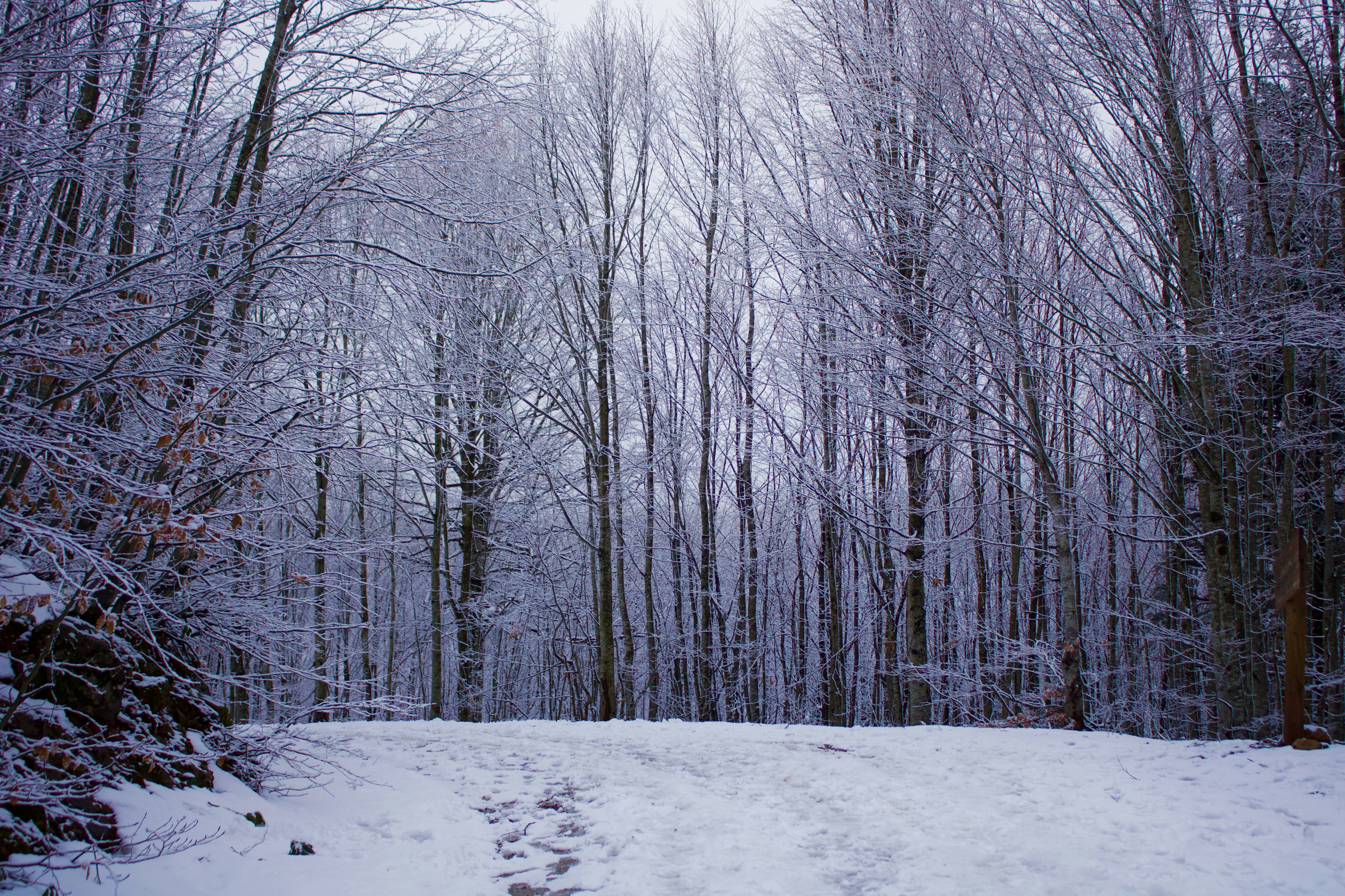 Photo by tahaberktekin