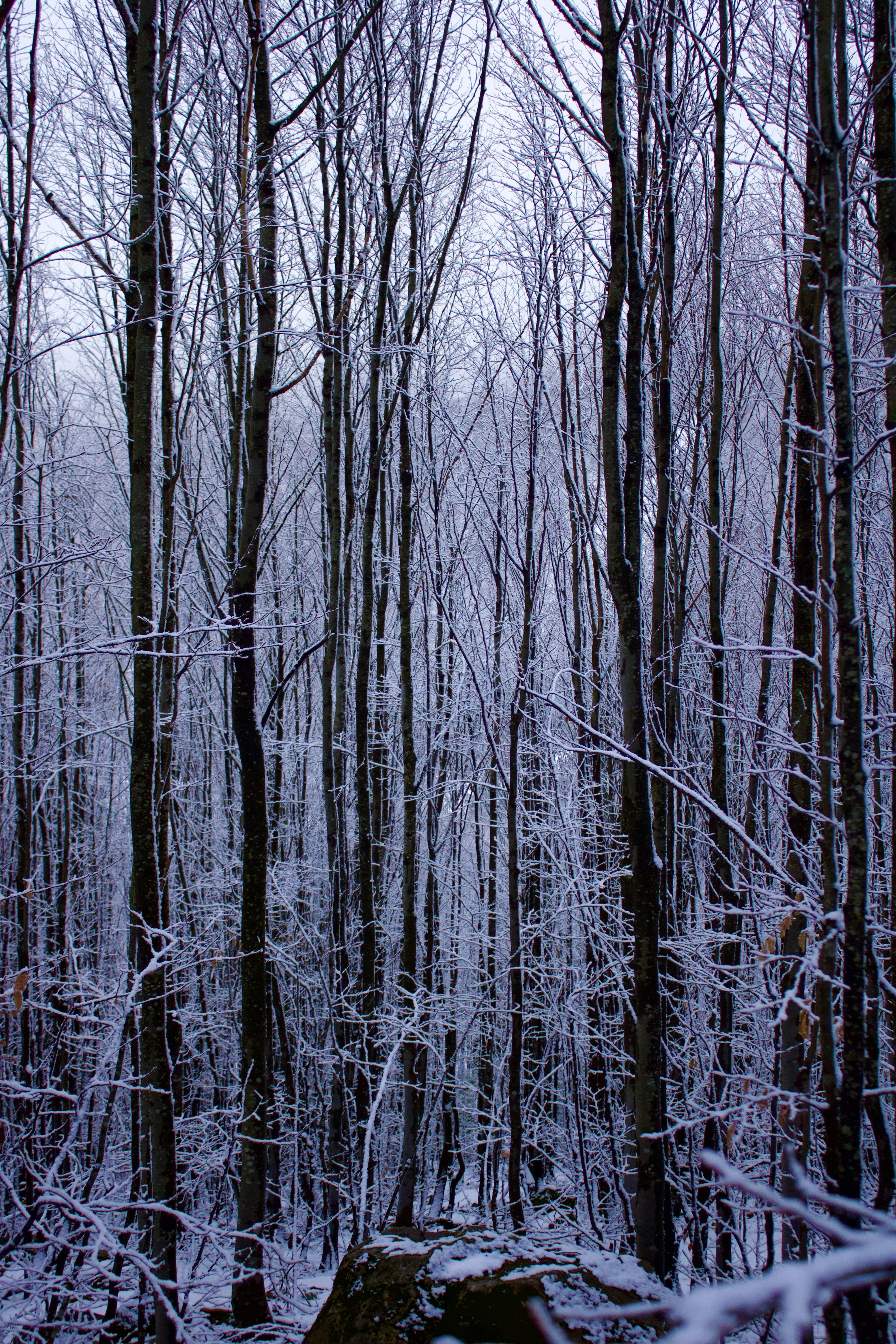 Photo by tahaberktekin