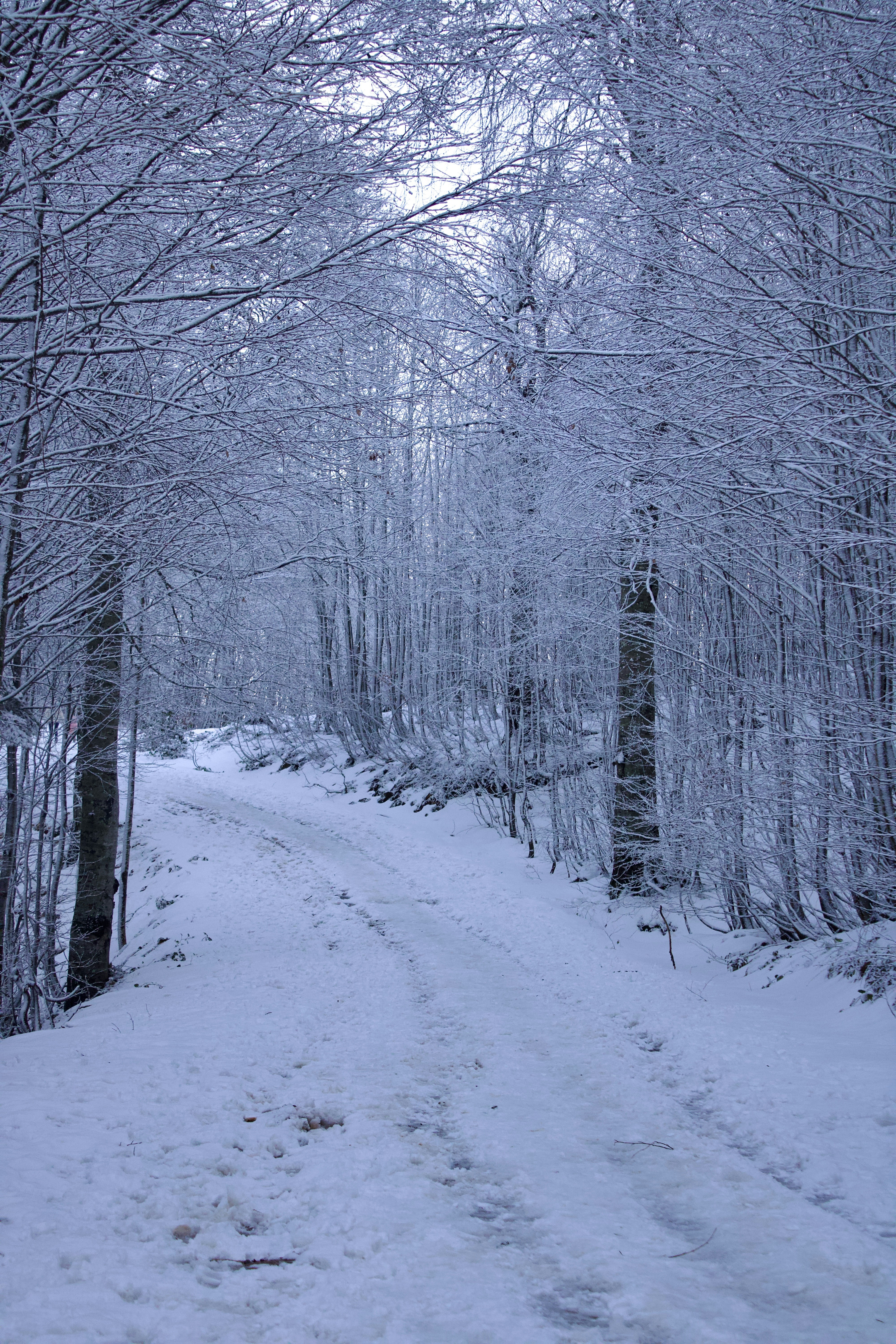 Photo by tahaberktekin