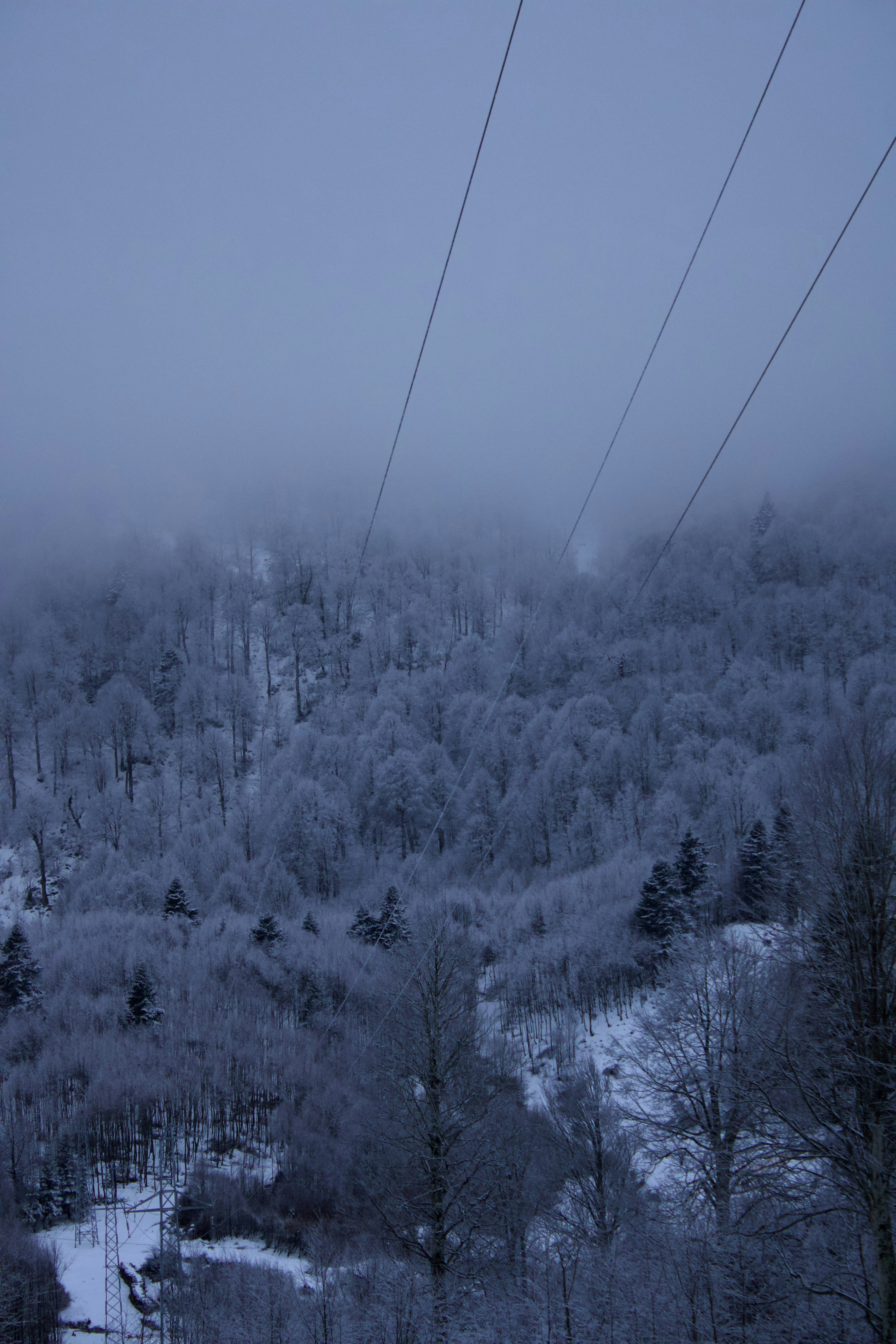 Photo by tahaberktekin