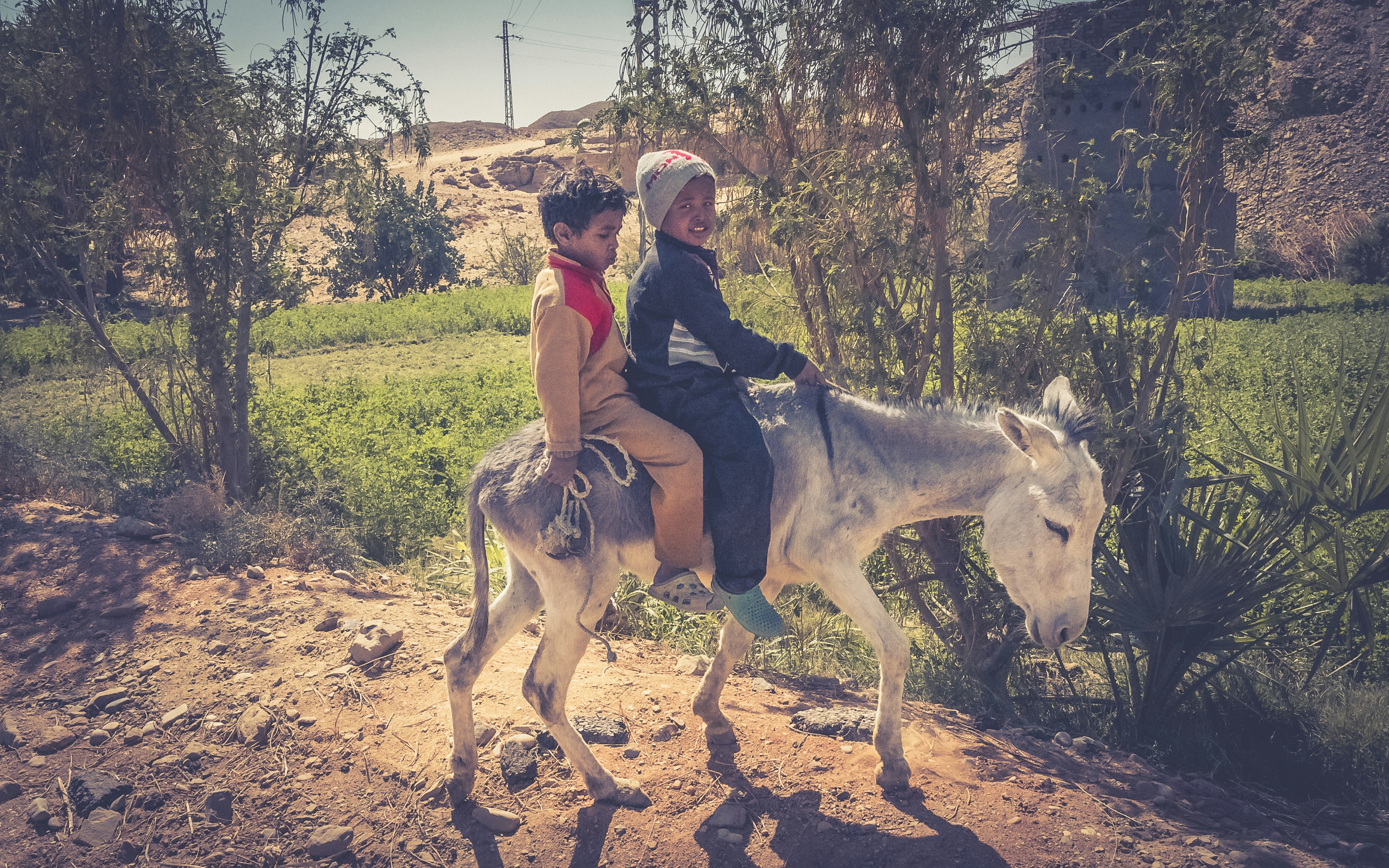 Permaculture Workshops in Morocco: Learning to Live with the Land