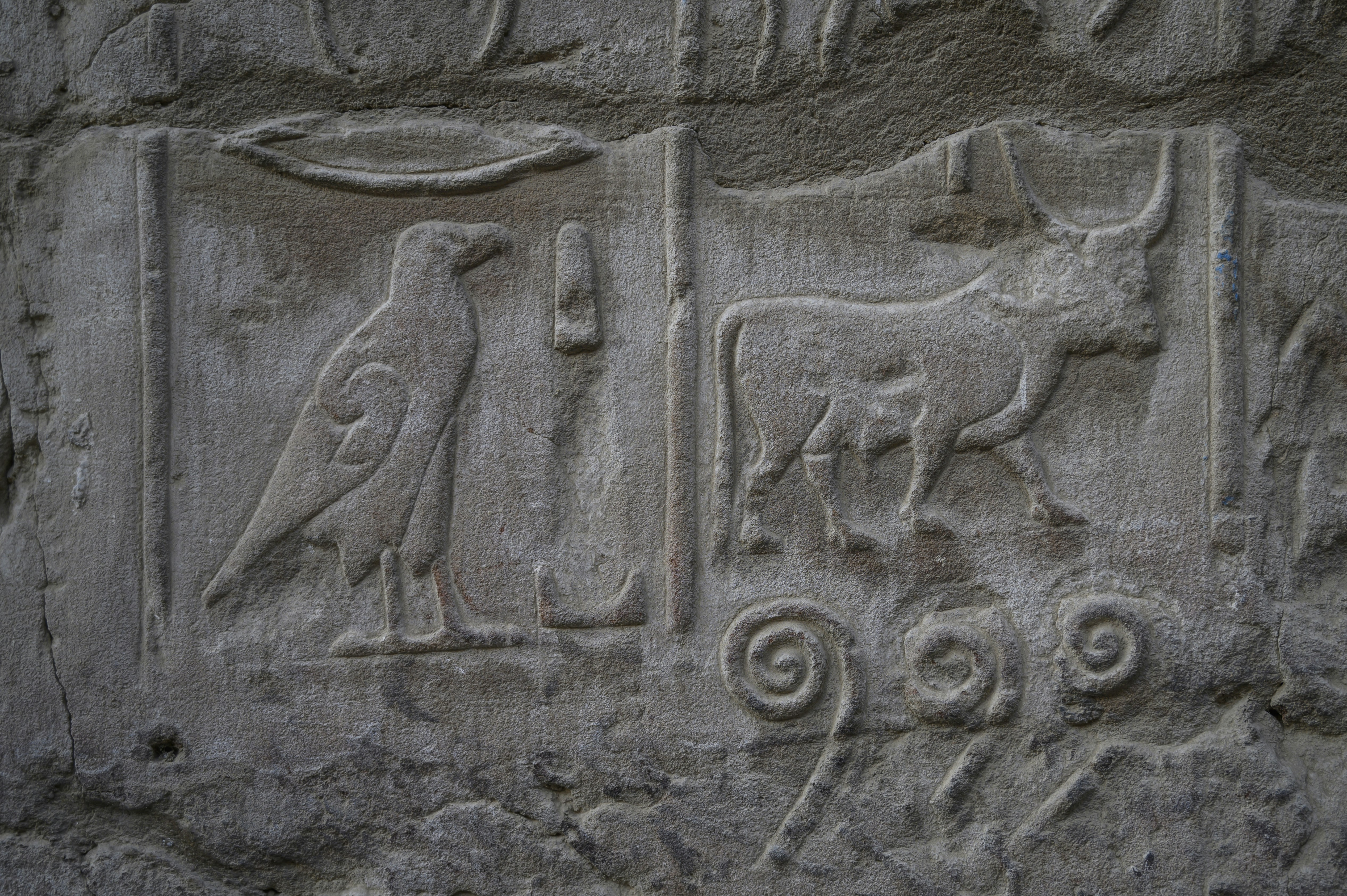 A close up of a stone wall with animals and birds, 
