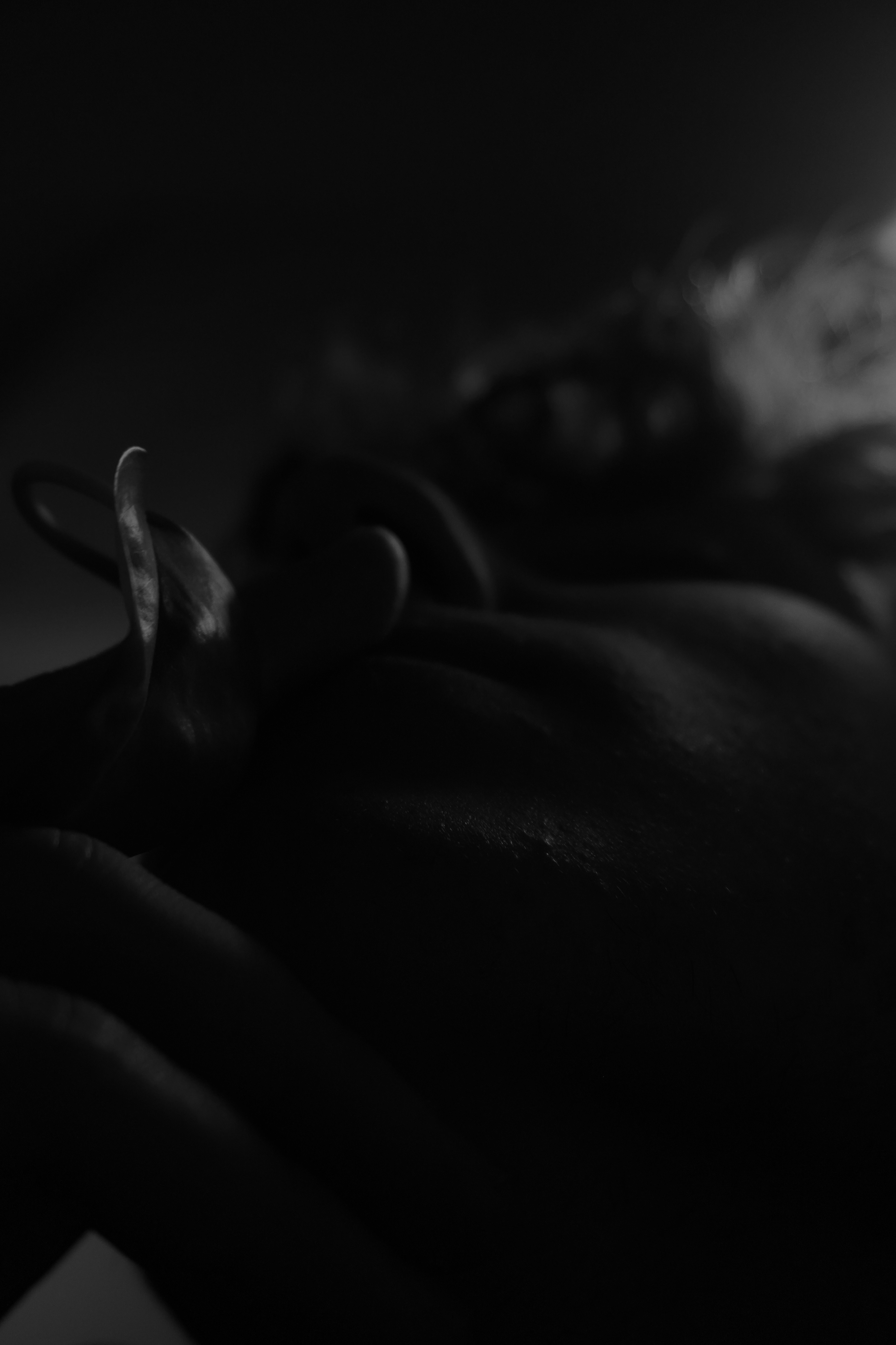 Photo by erfankhoshbin