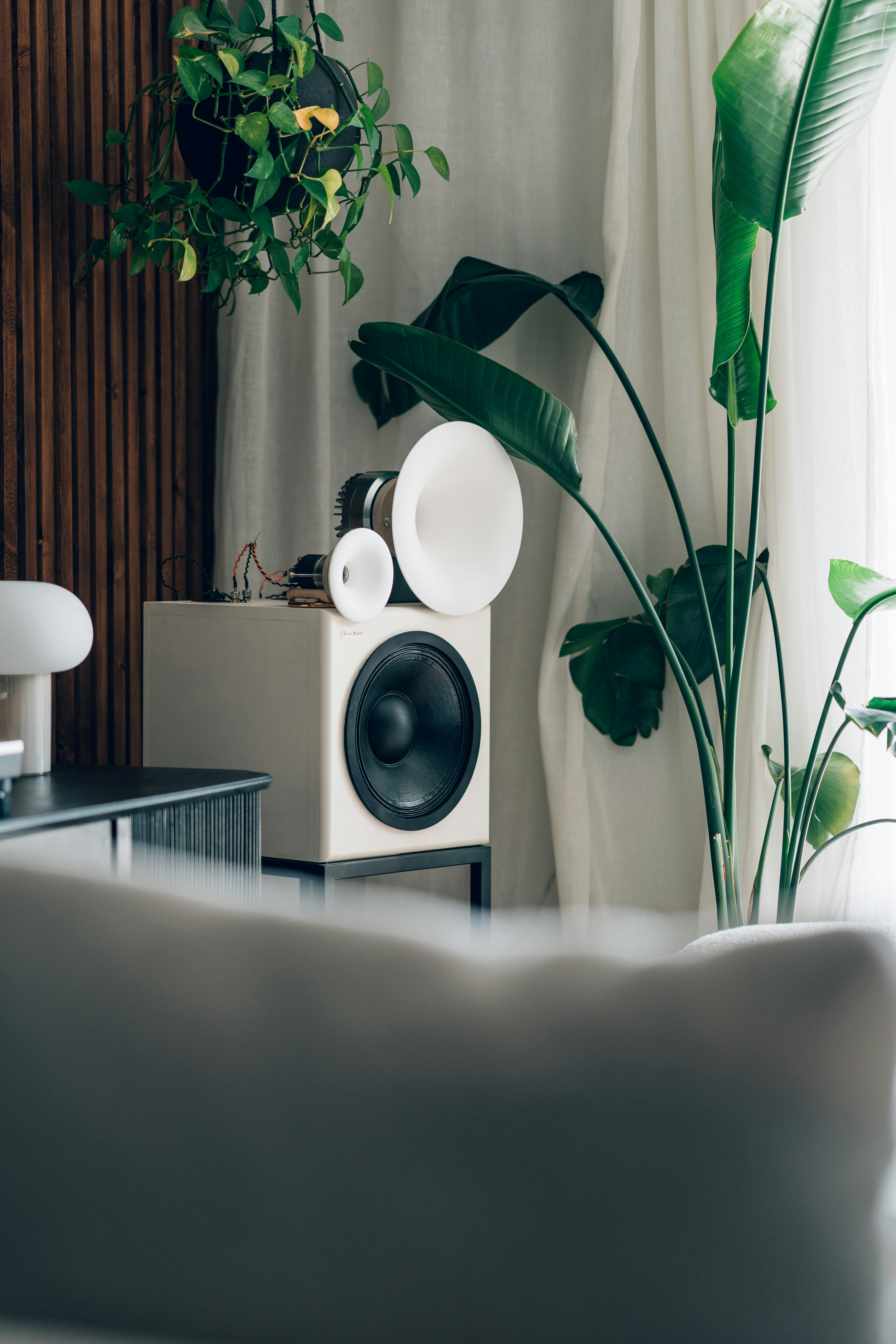 Soundscapes for Your Space: Transform Home Decor with Acoustic Elements