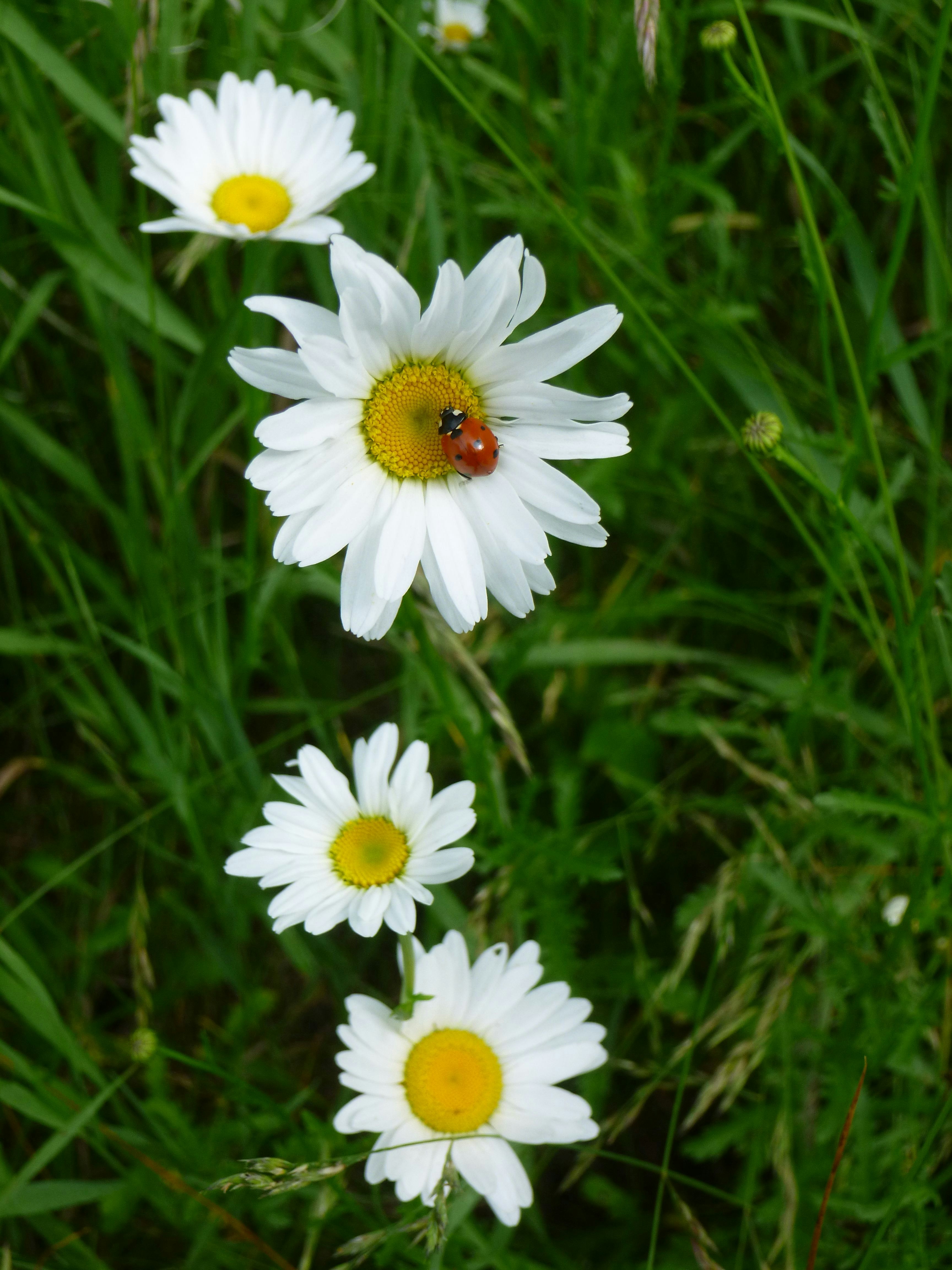 L’année 2025 du Clan