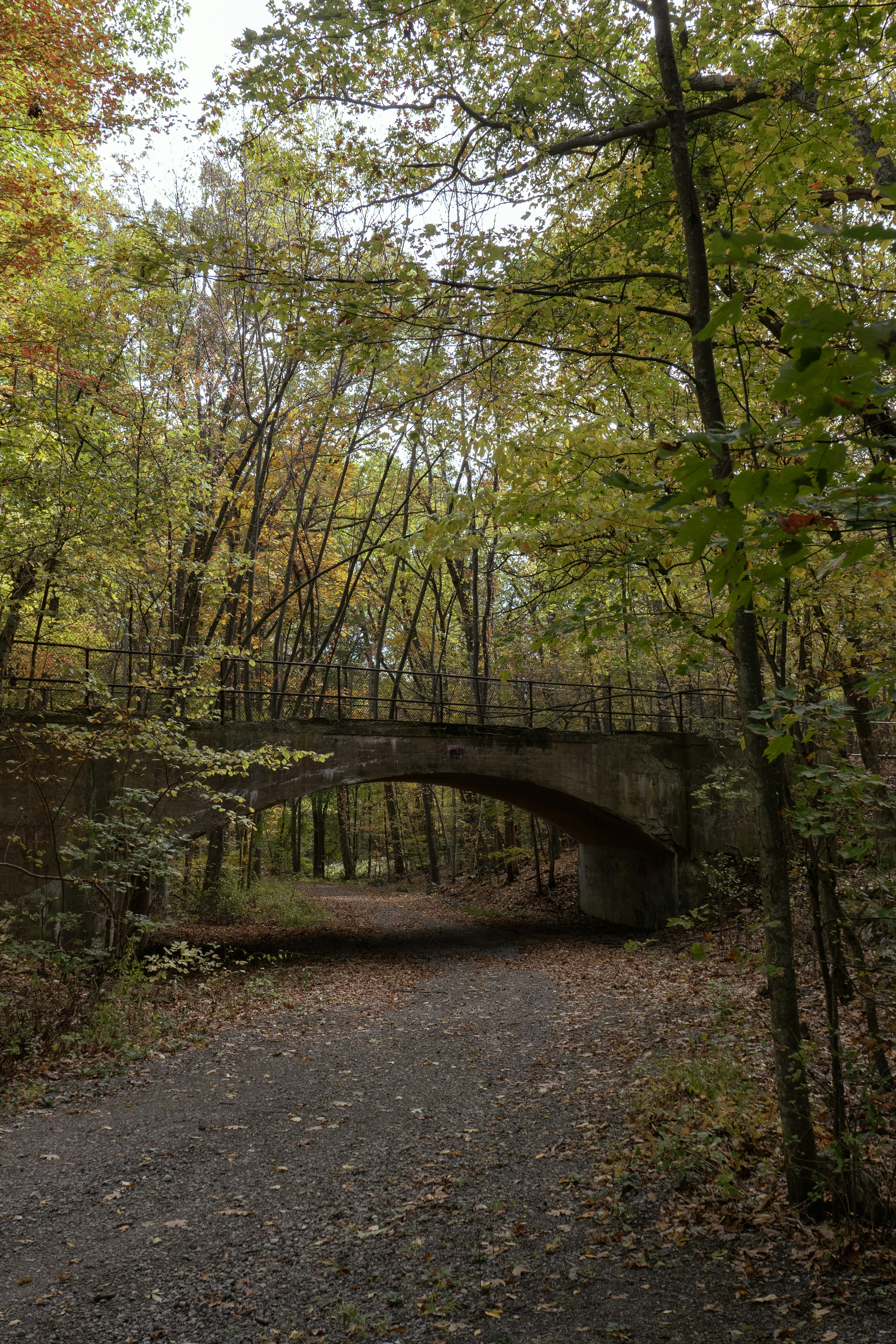 Photo by leonbredella