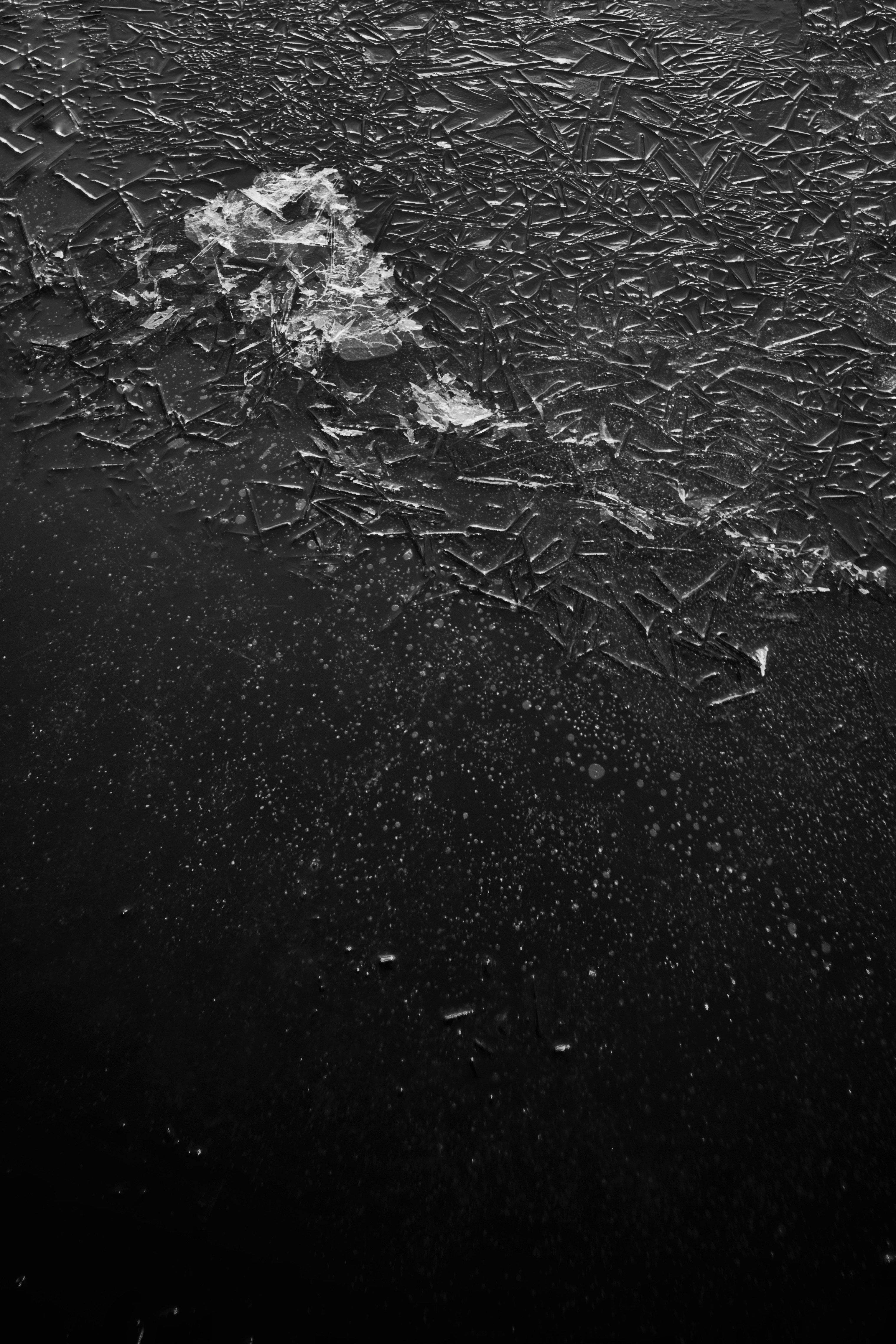 Photo by cam_ballard