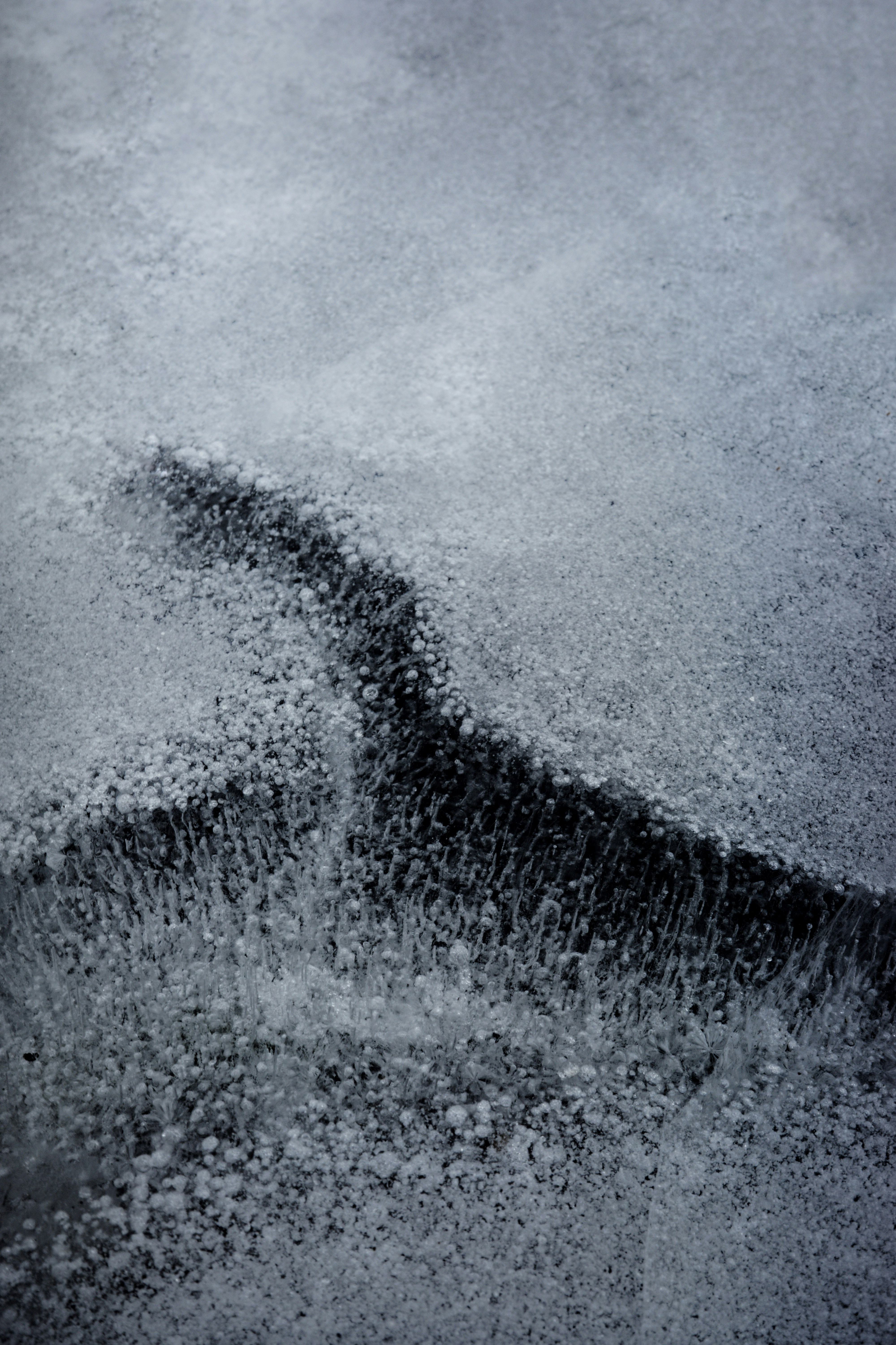 Photo by cam_ballard