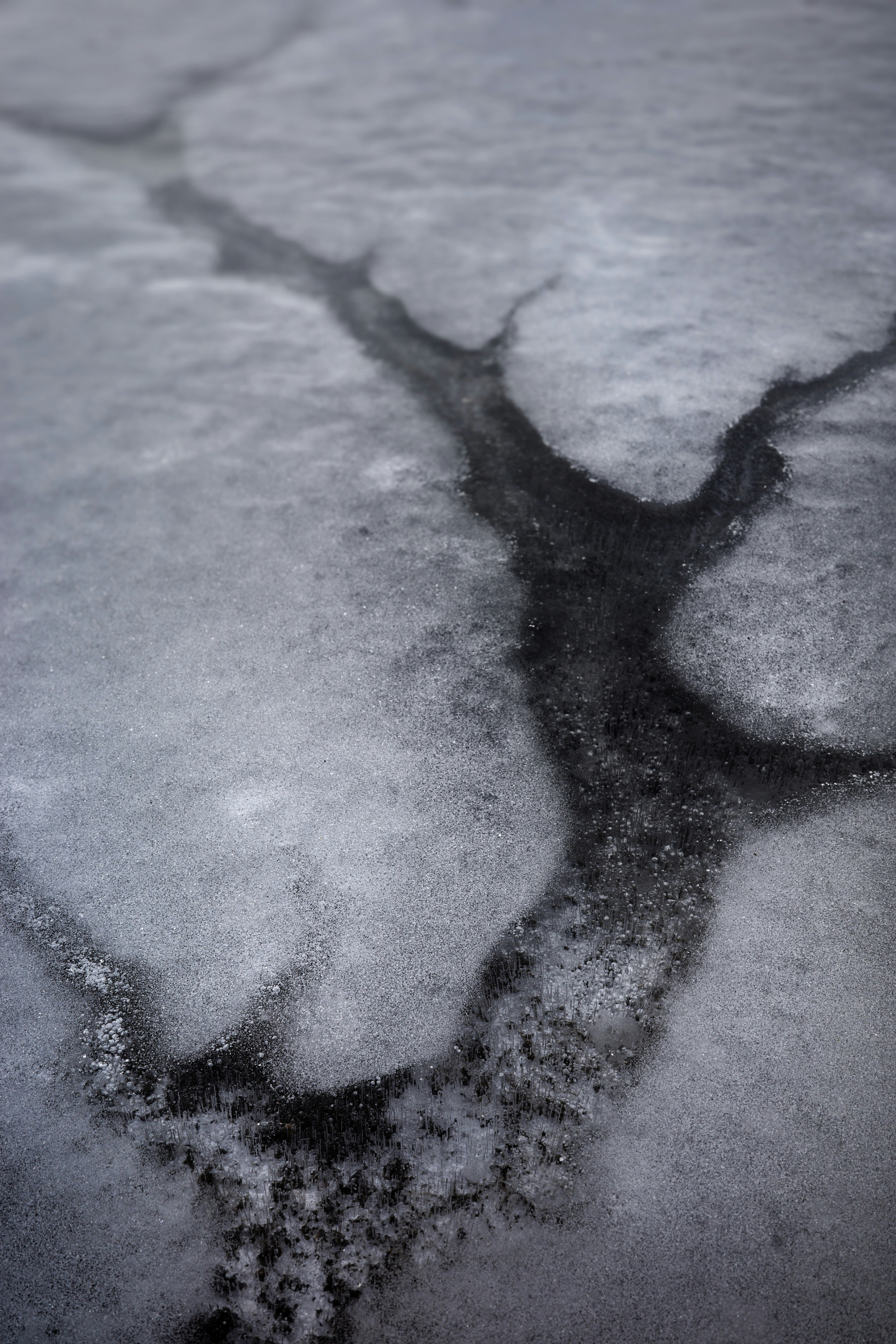 Photo by cam_ballard