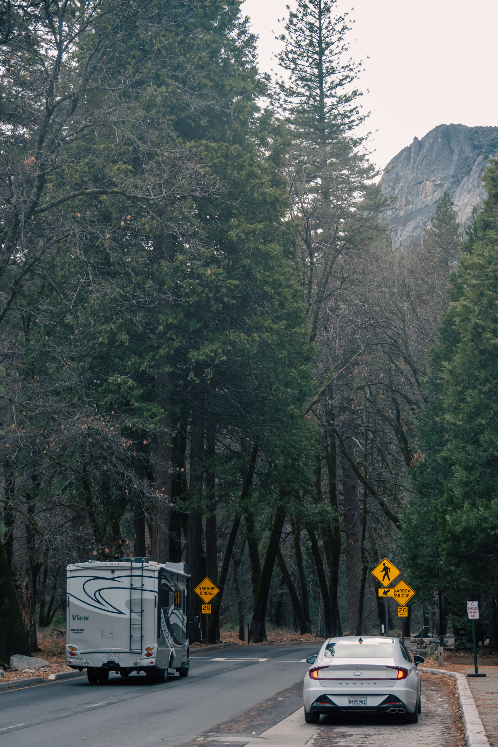 A car driving down a road next to a forest