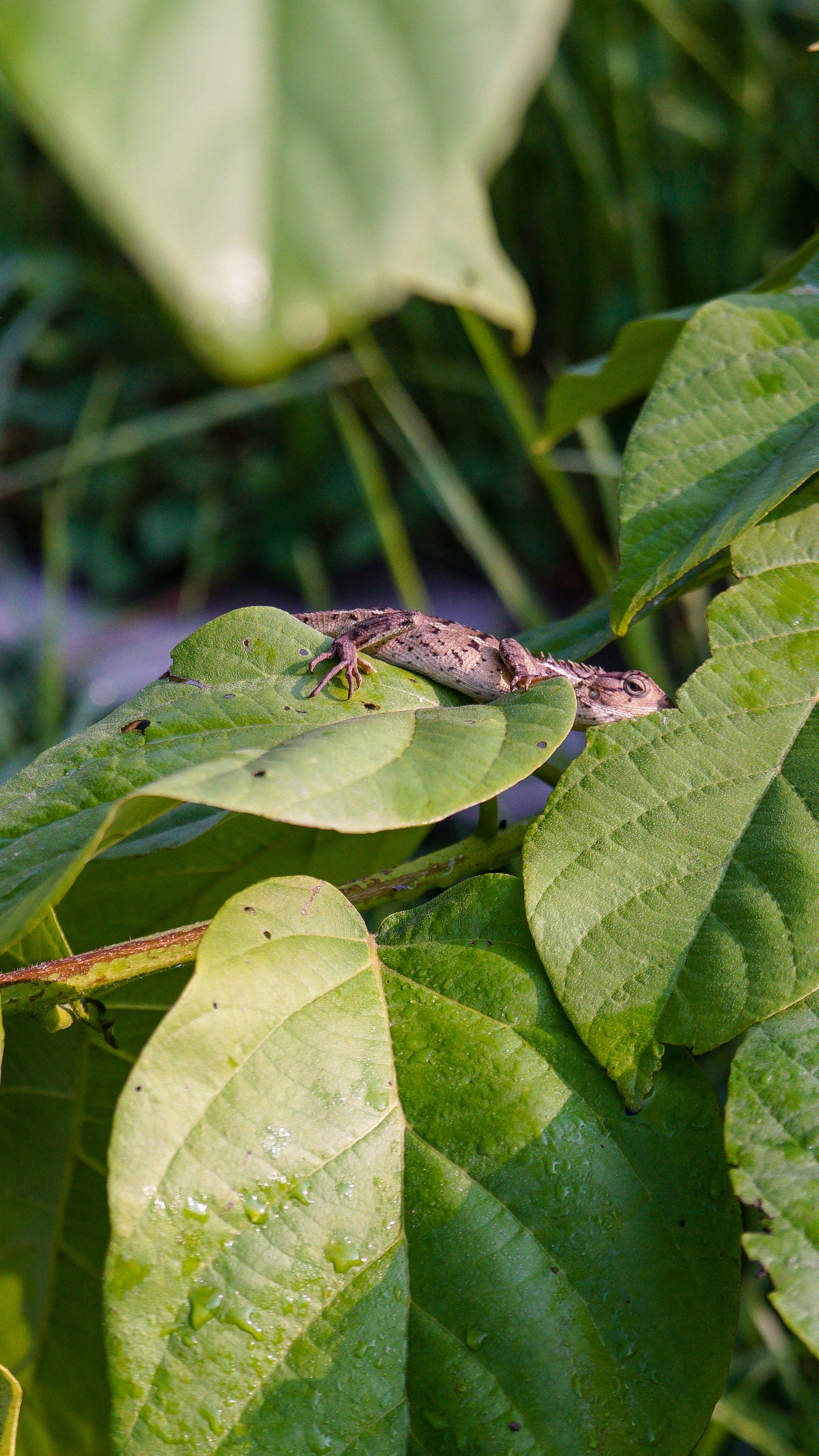 Photo by gosoundmitch