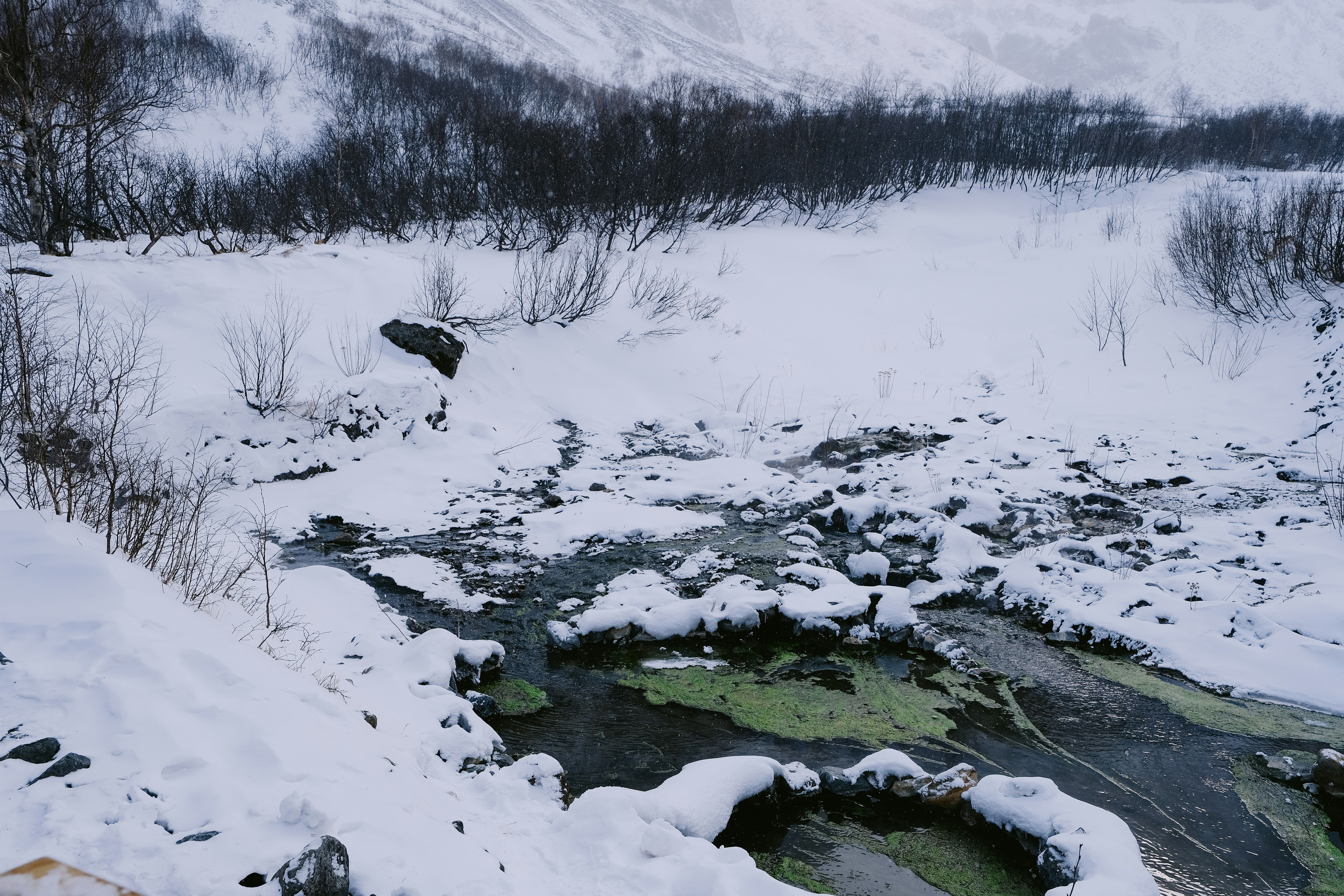 Un arroyo que corre a través de un paisaje cubierto de nieve