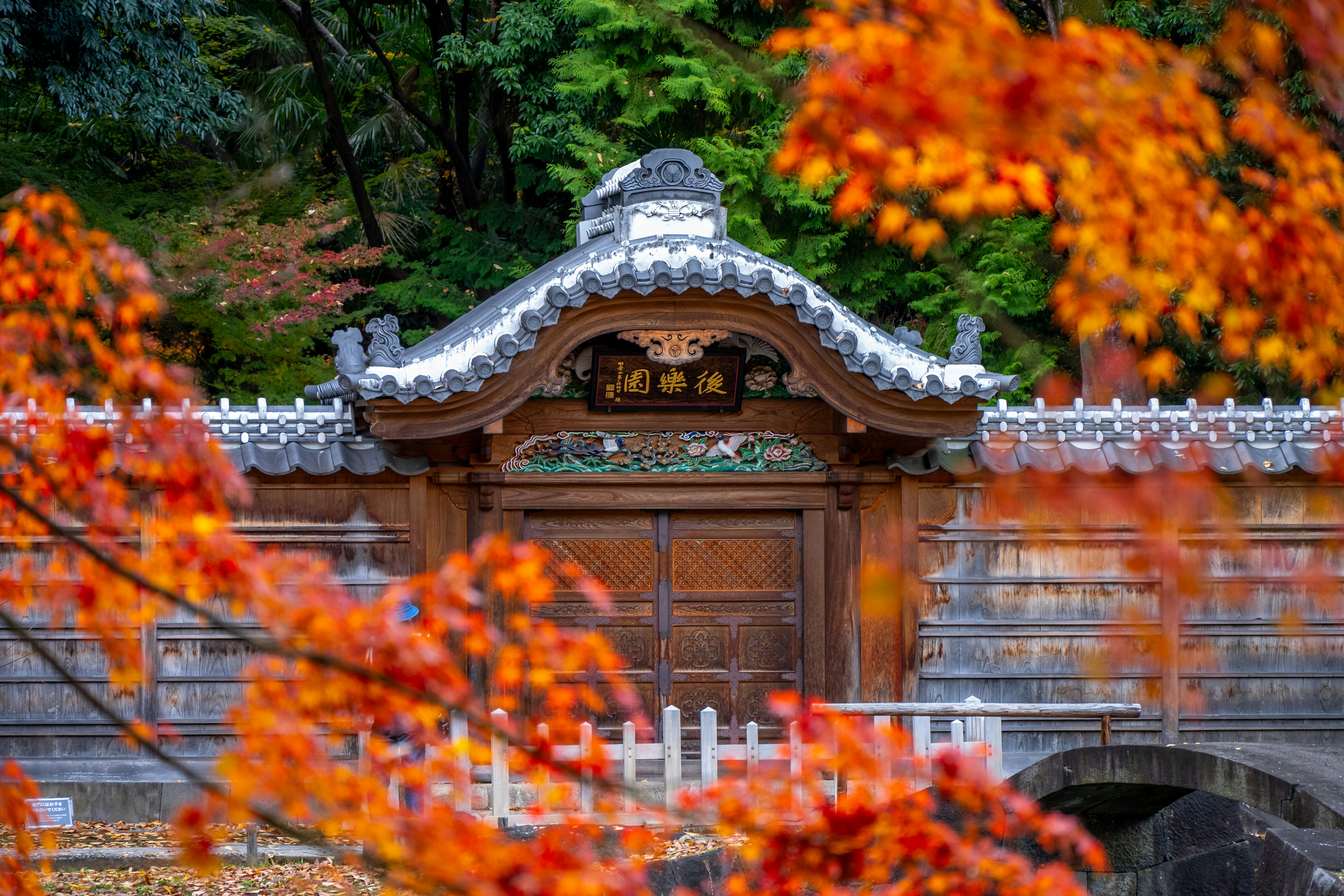 A wooden gate surrounded by trees with orange leaves