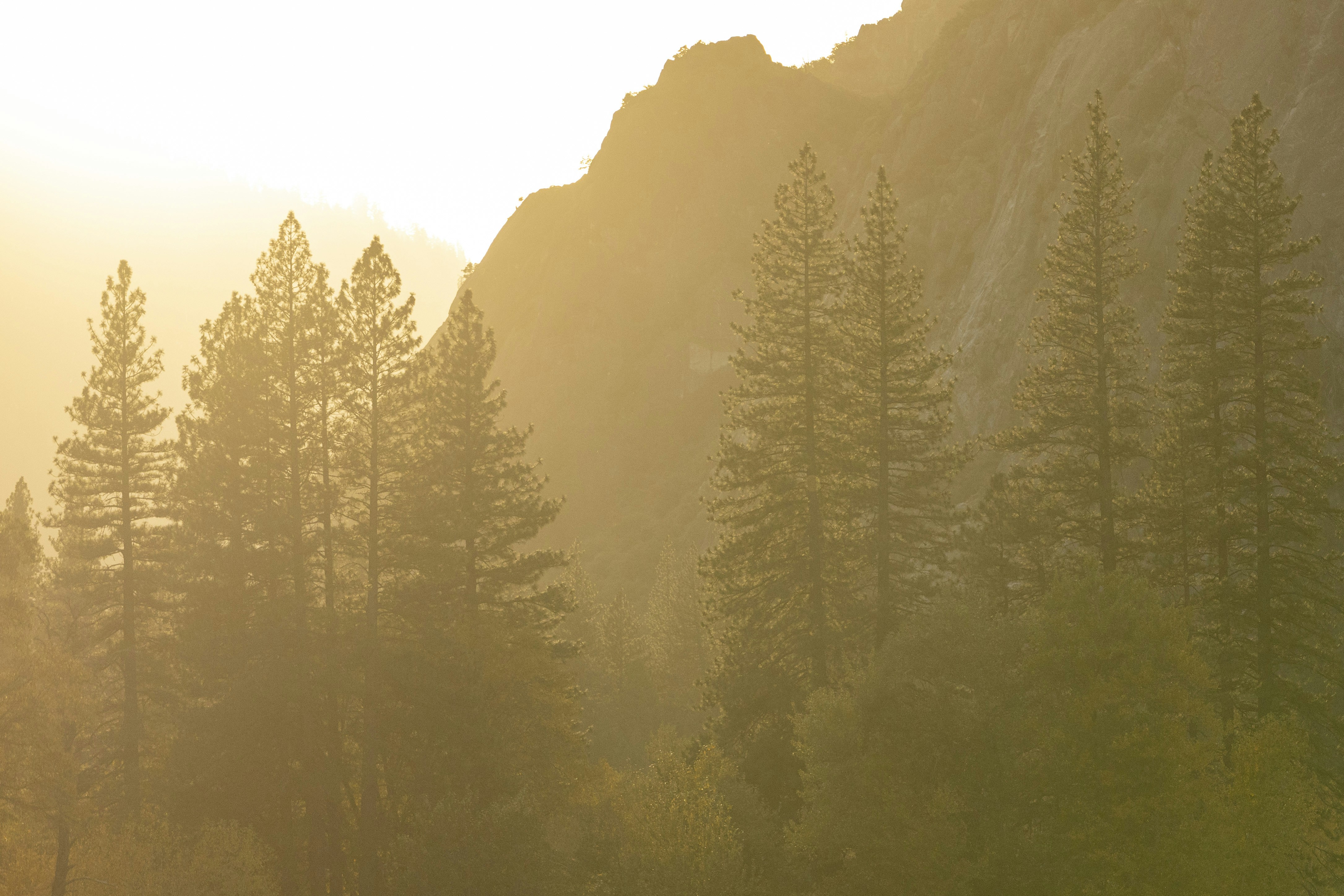 Photo by leo_visions_