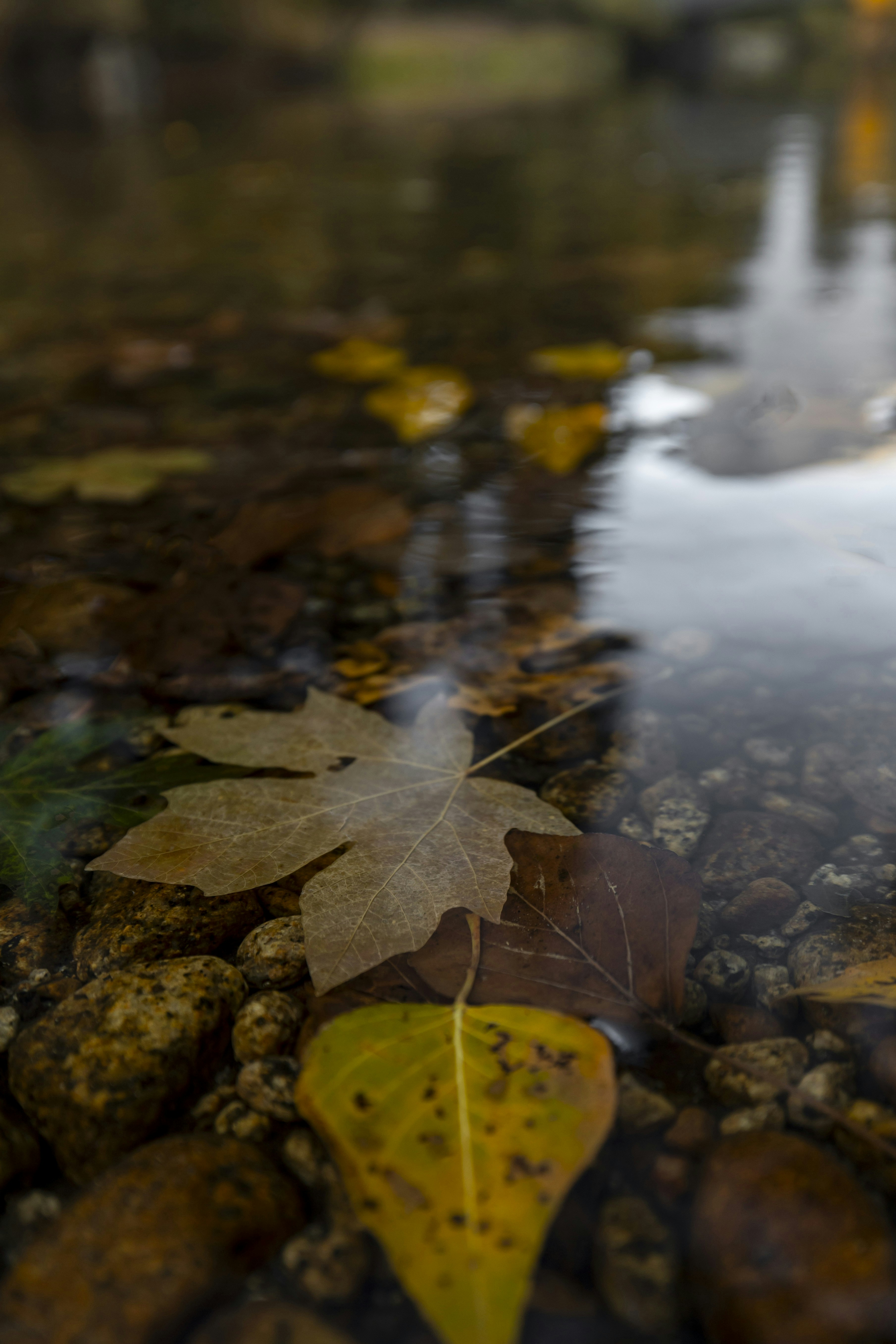 Photo by leo_visions_