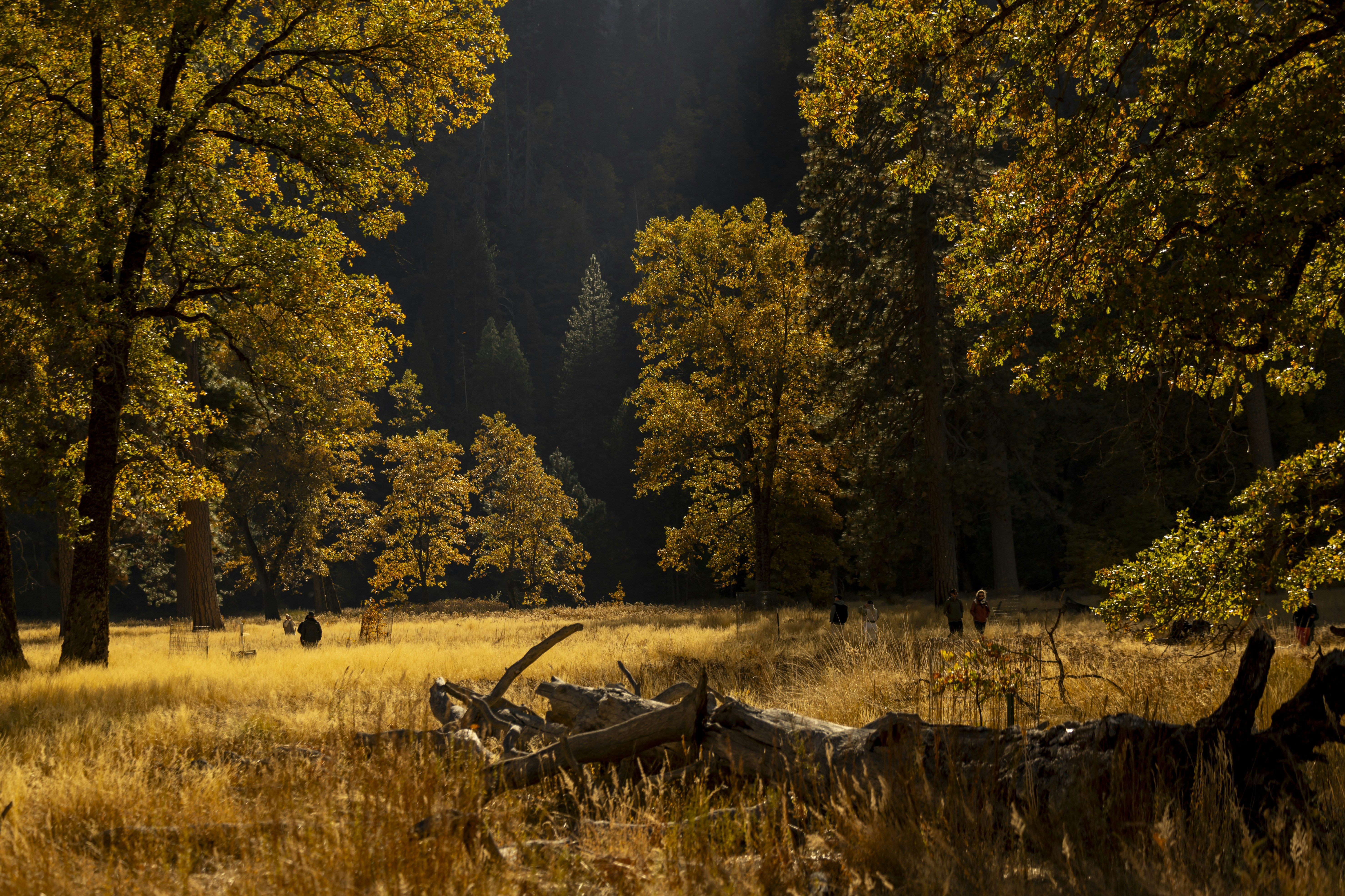 Photo by leo_visions_