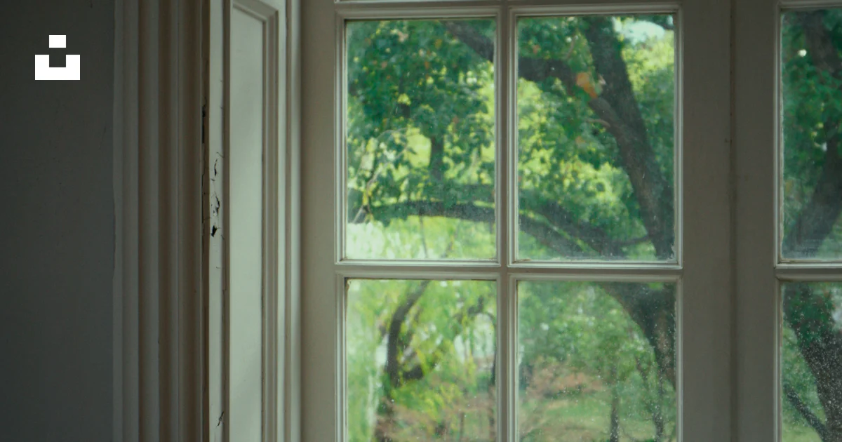 Window See Outside Tree A window with a view of a tree outside photo – Free Shanghai Image on ...