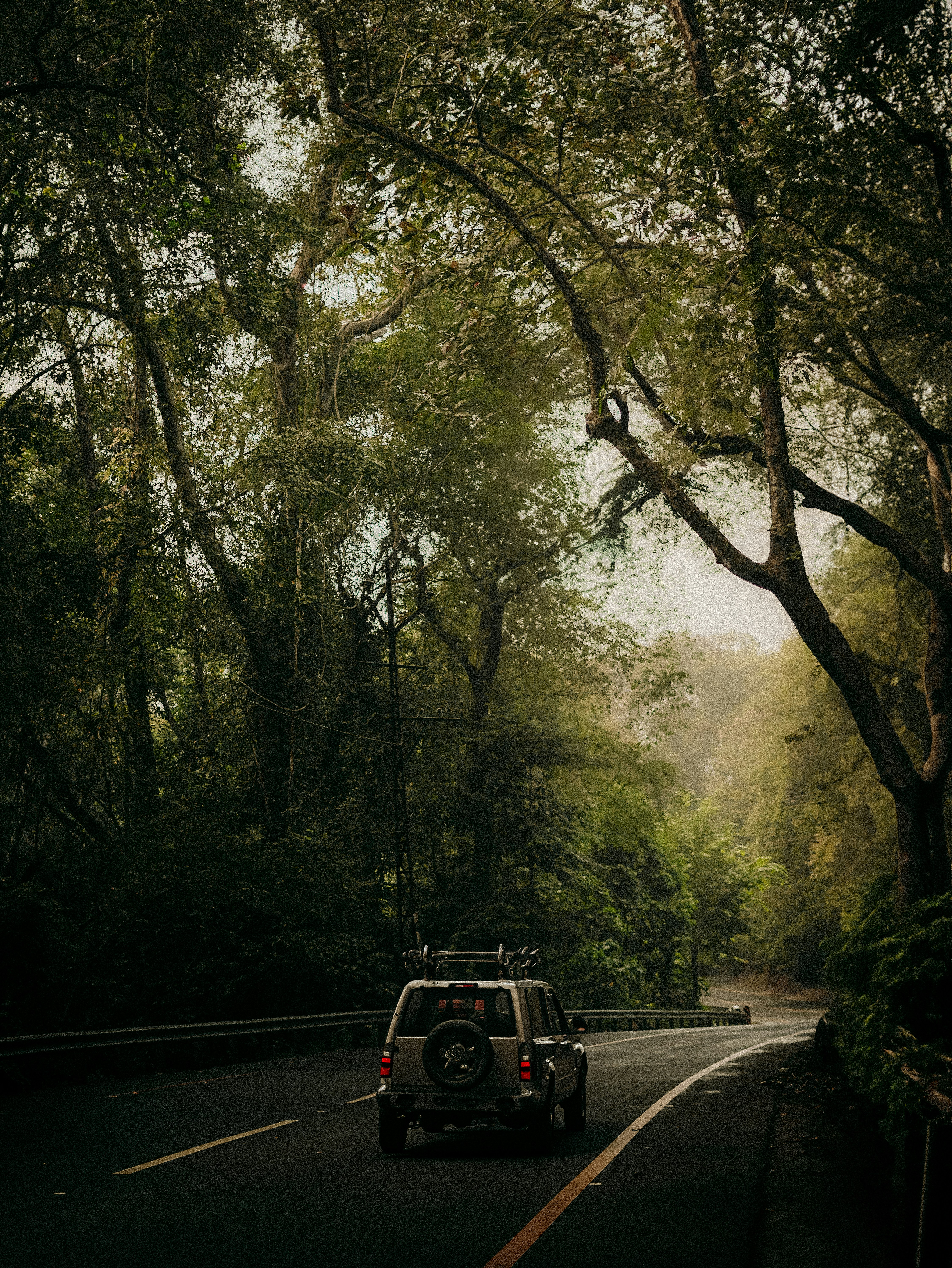 Photo by sabinkumars