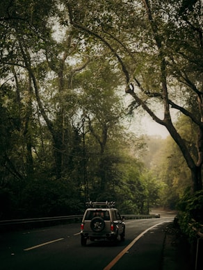 A jeep driving down a road surrounded by trees