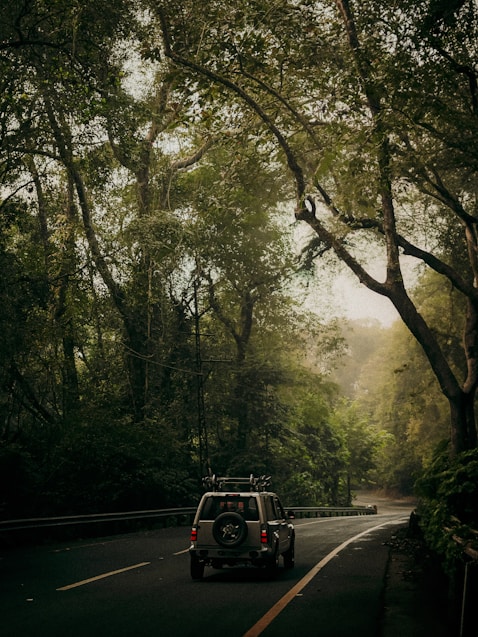 A jeep driving down a road surrounded by trees