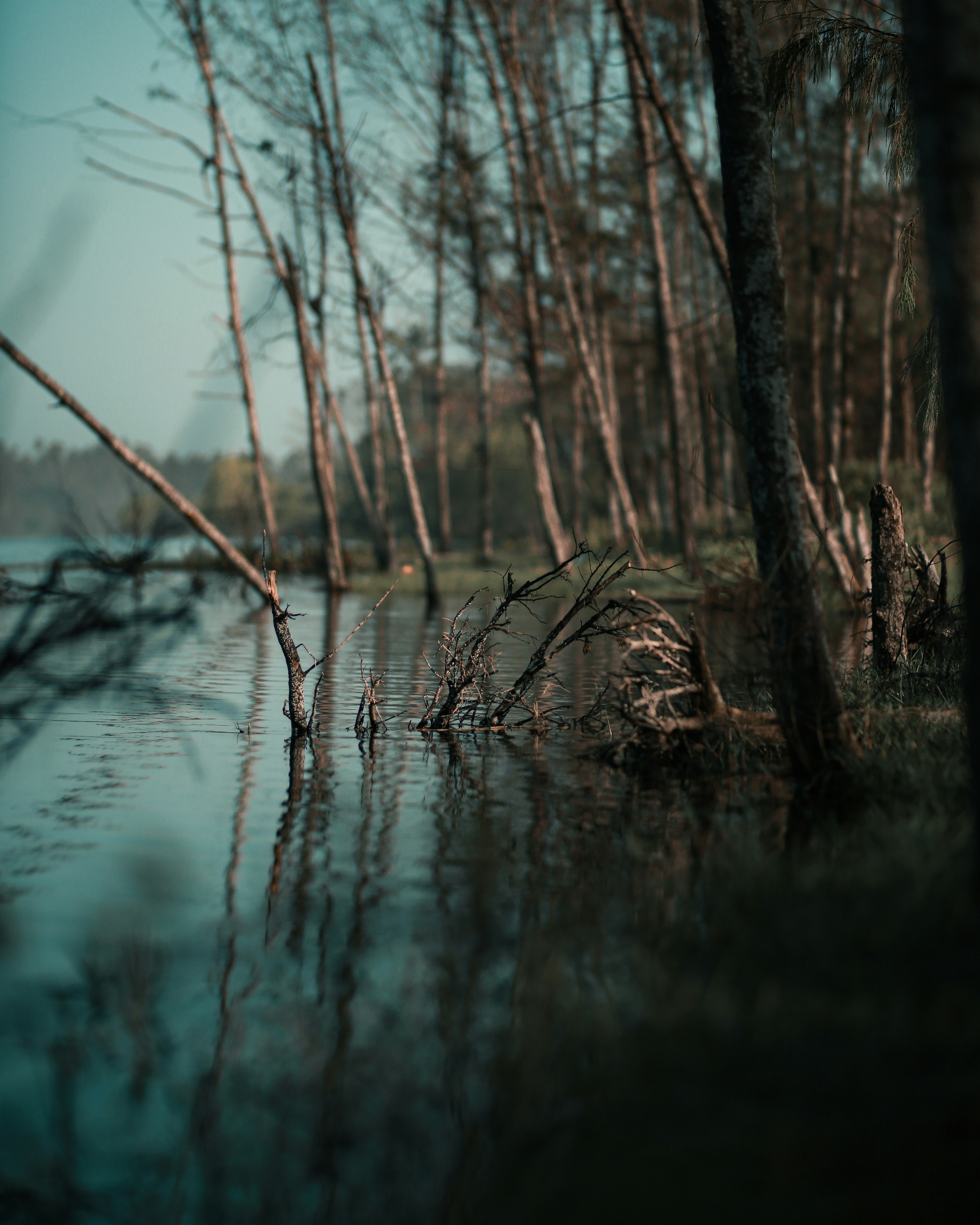 Photo by sabinkumars