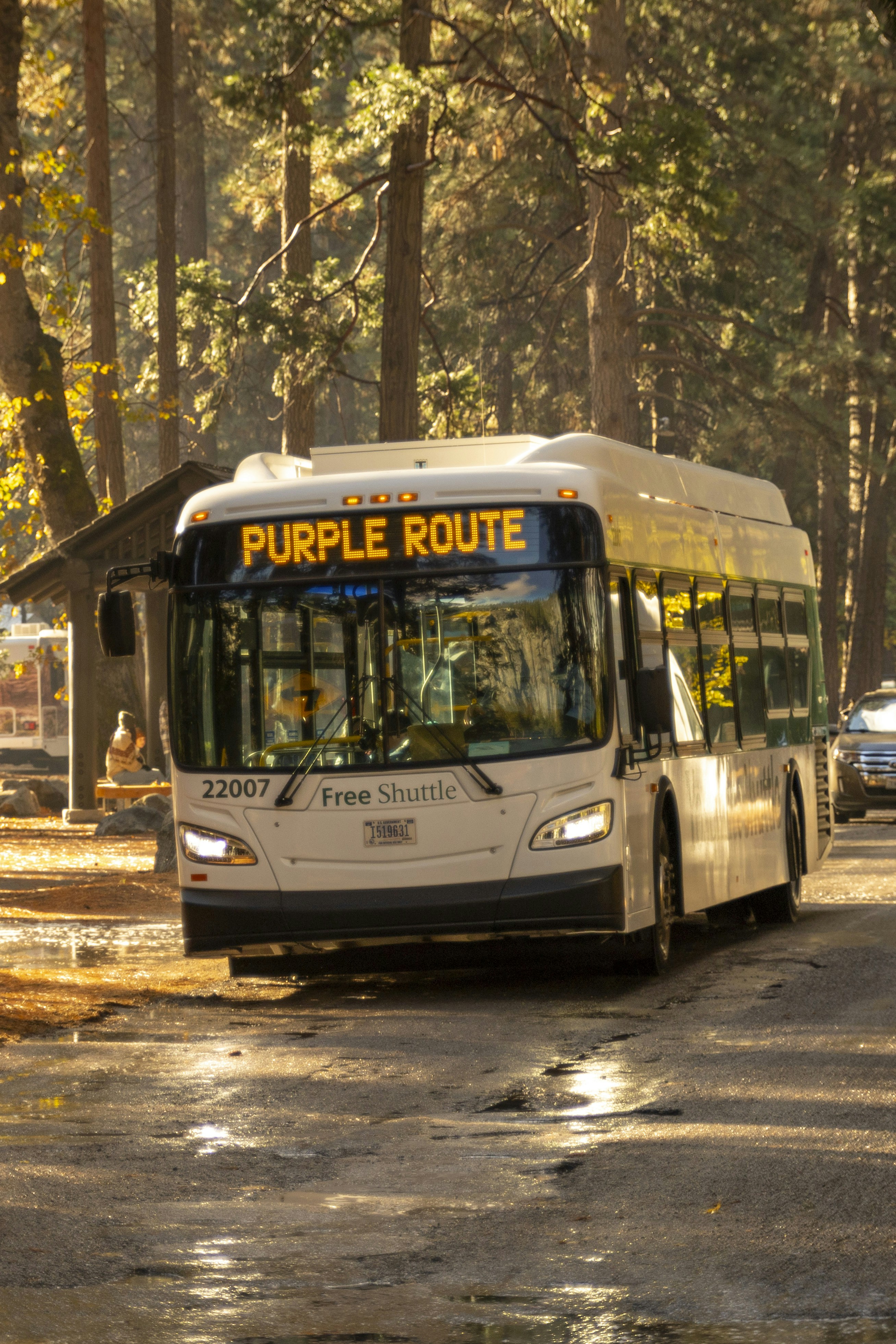 5 Best Passes for Public Transportation Around Lake Tahoe