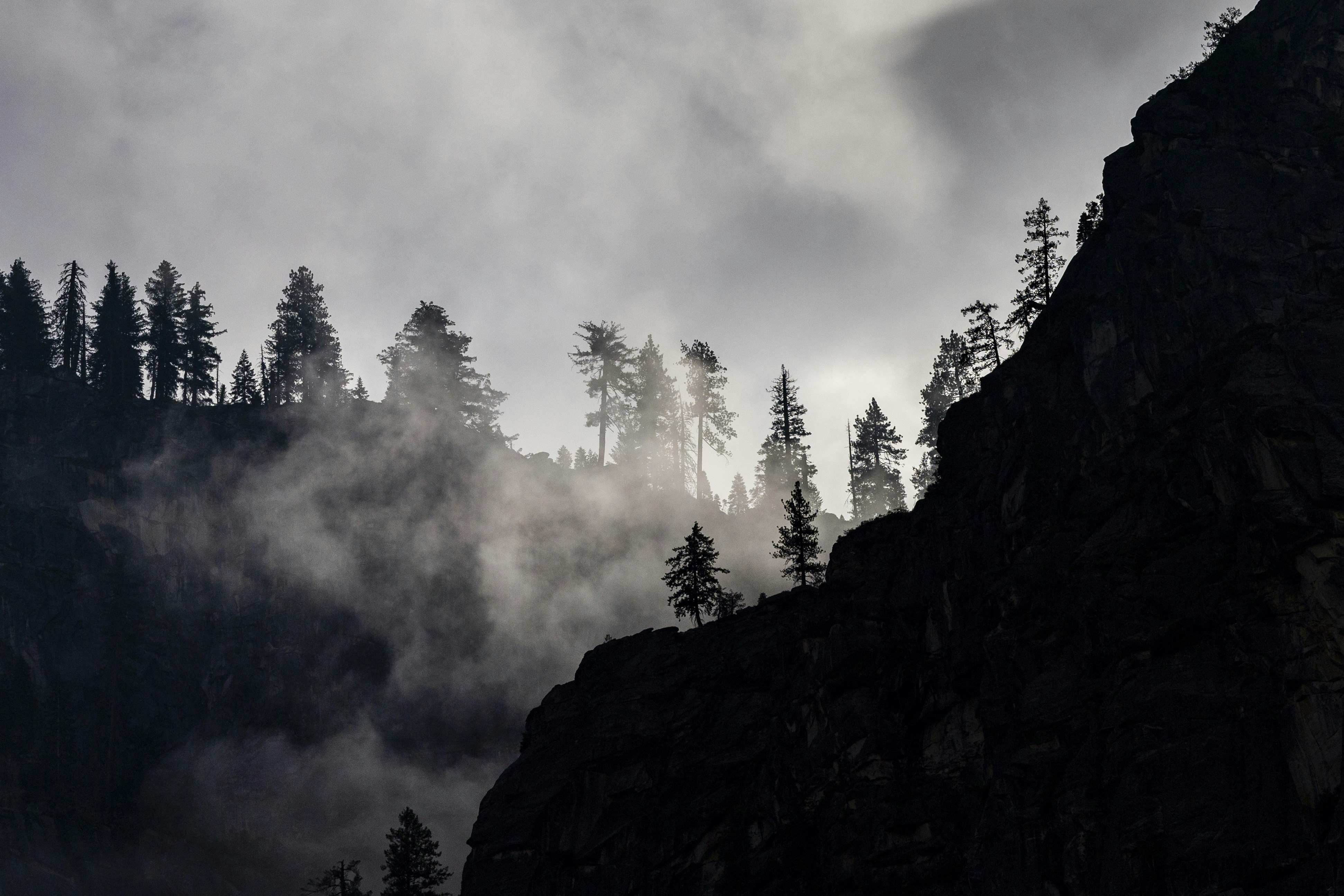 Photo by leo_visions_