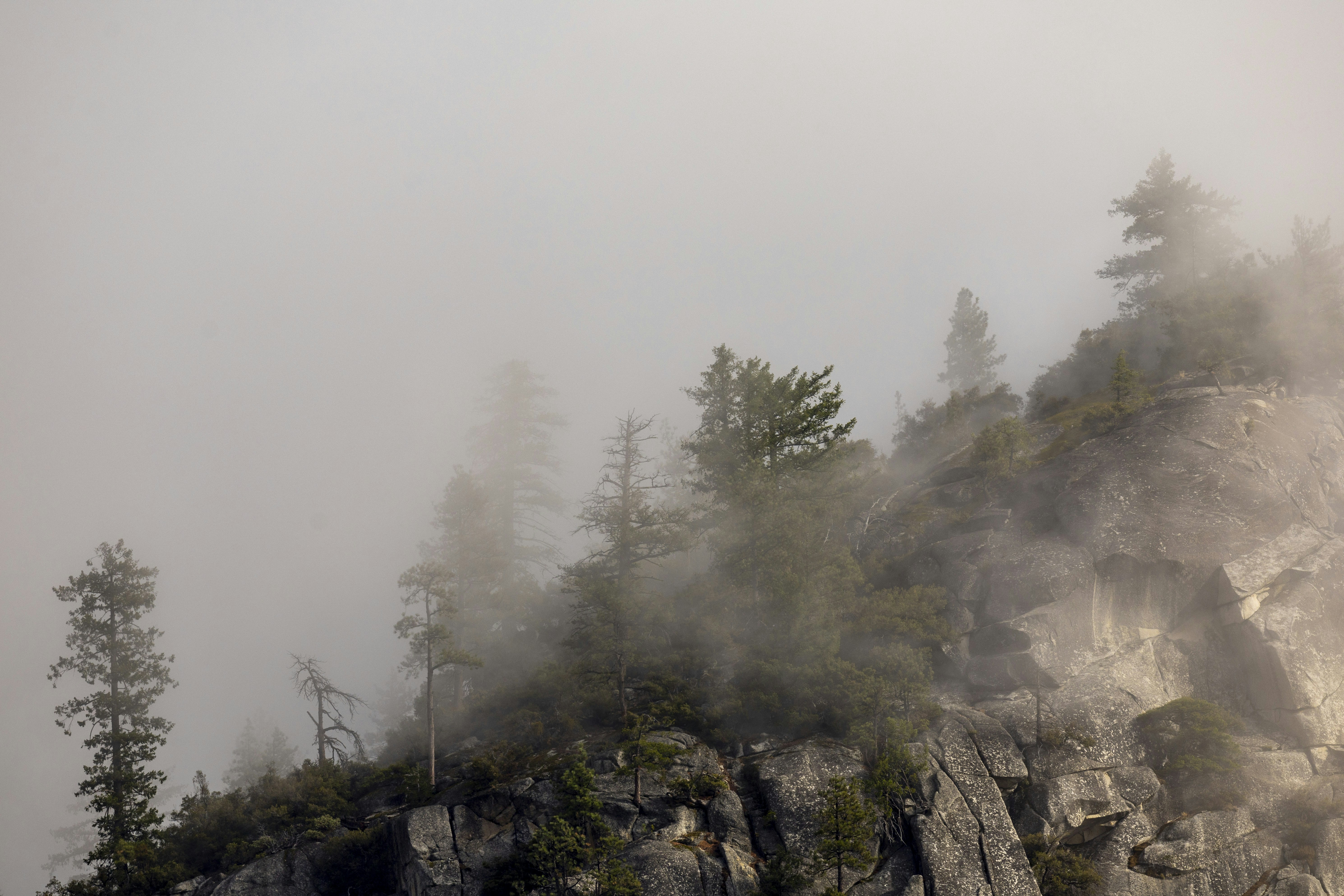 Photo by leo_visions_