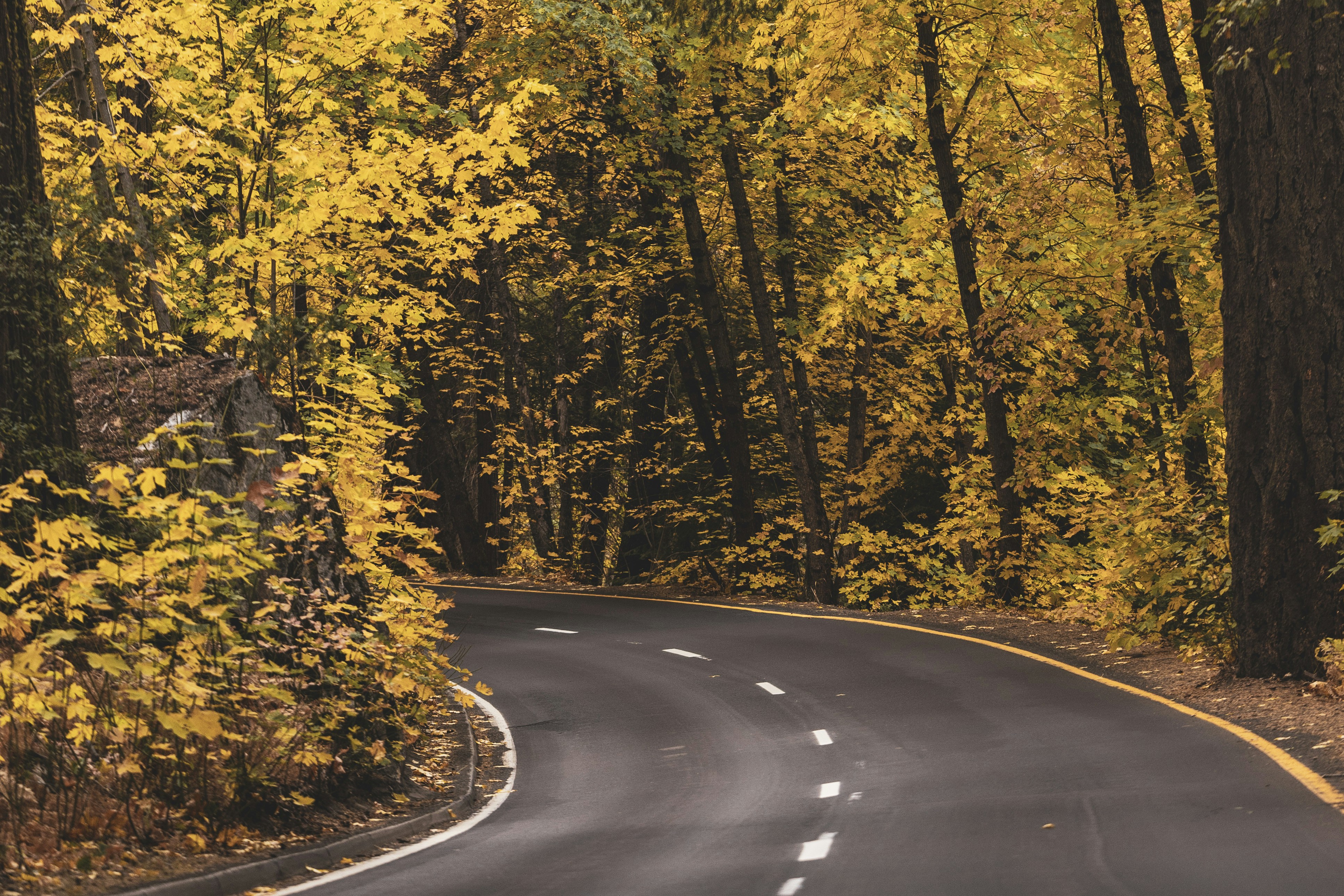 Photo by leo_visions_