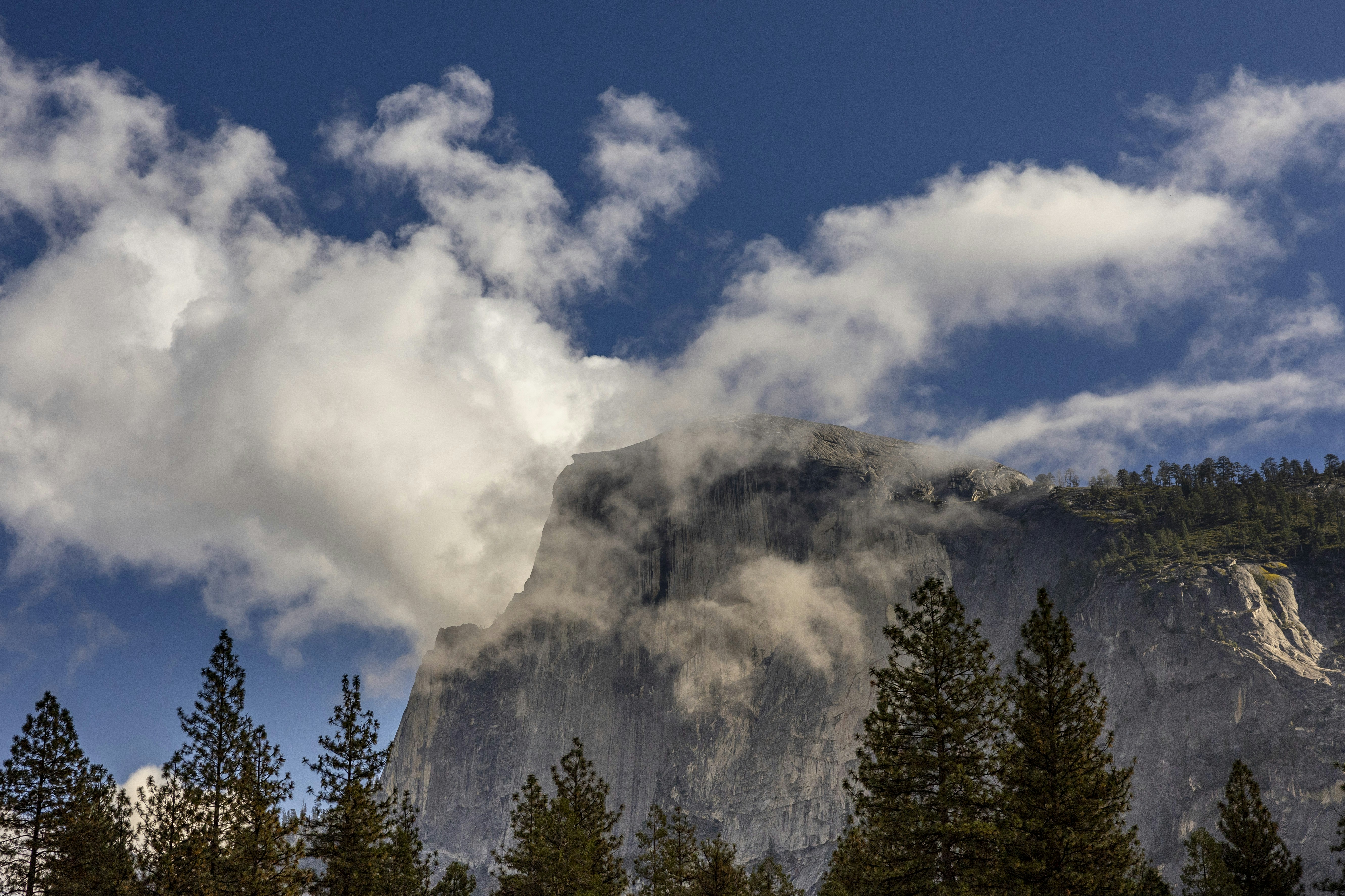 Photo by leo_visions_