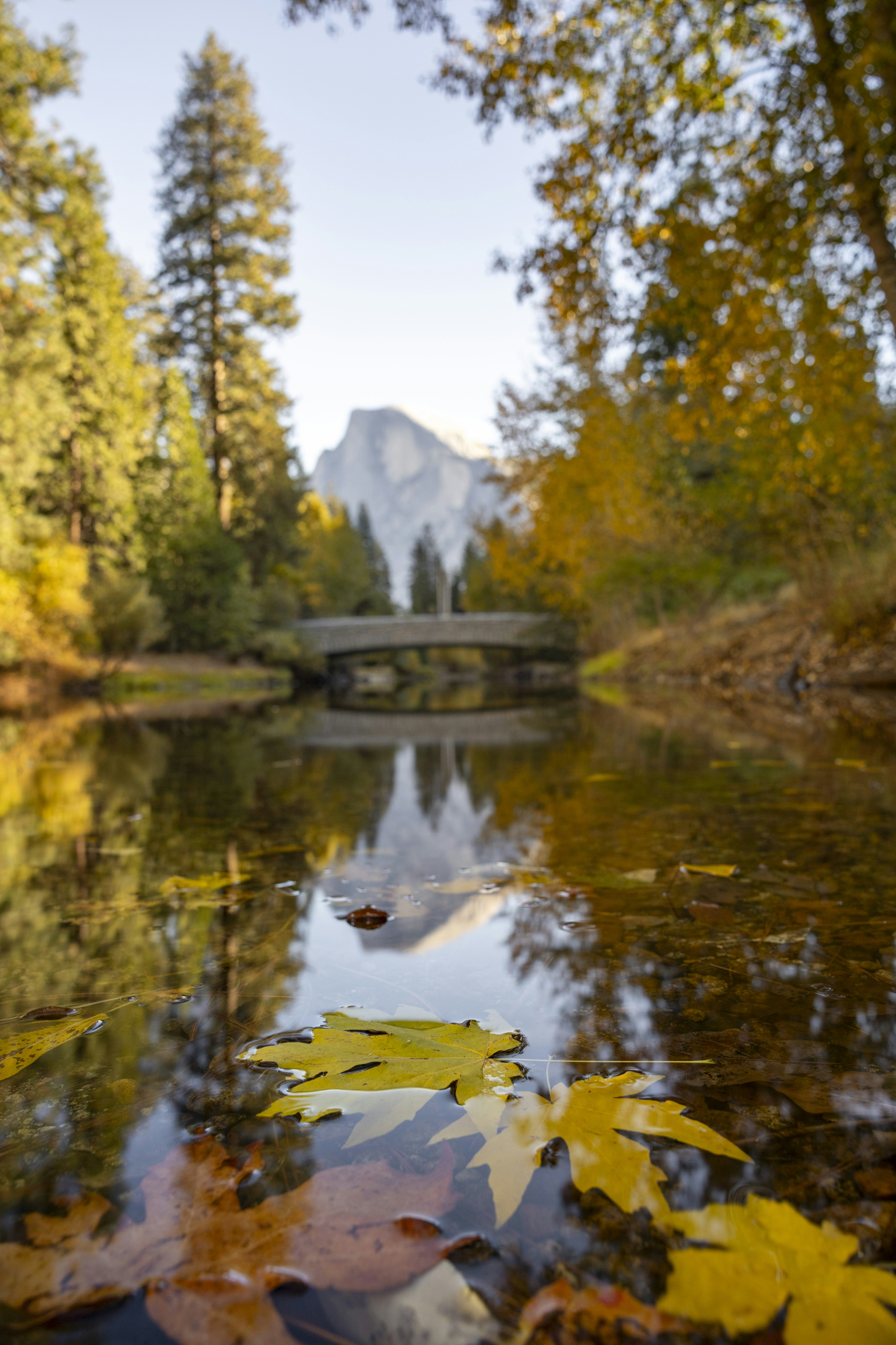 Photo by leo_visions_