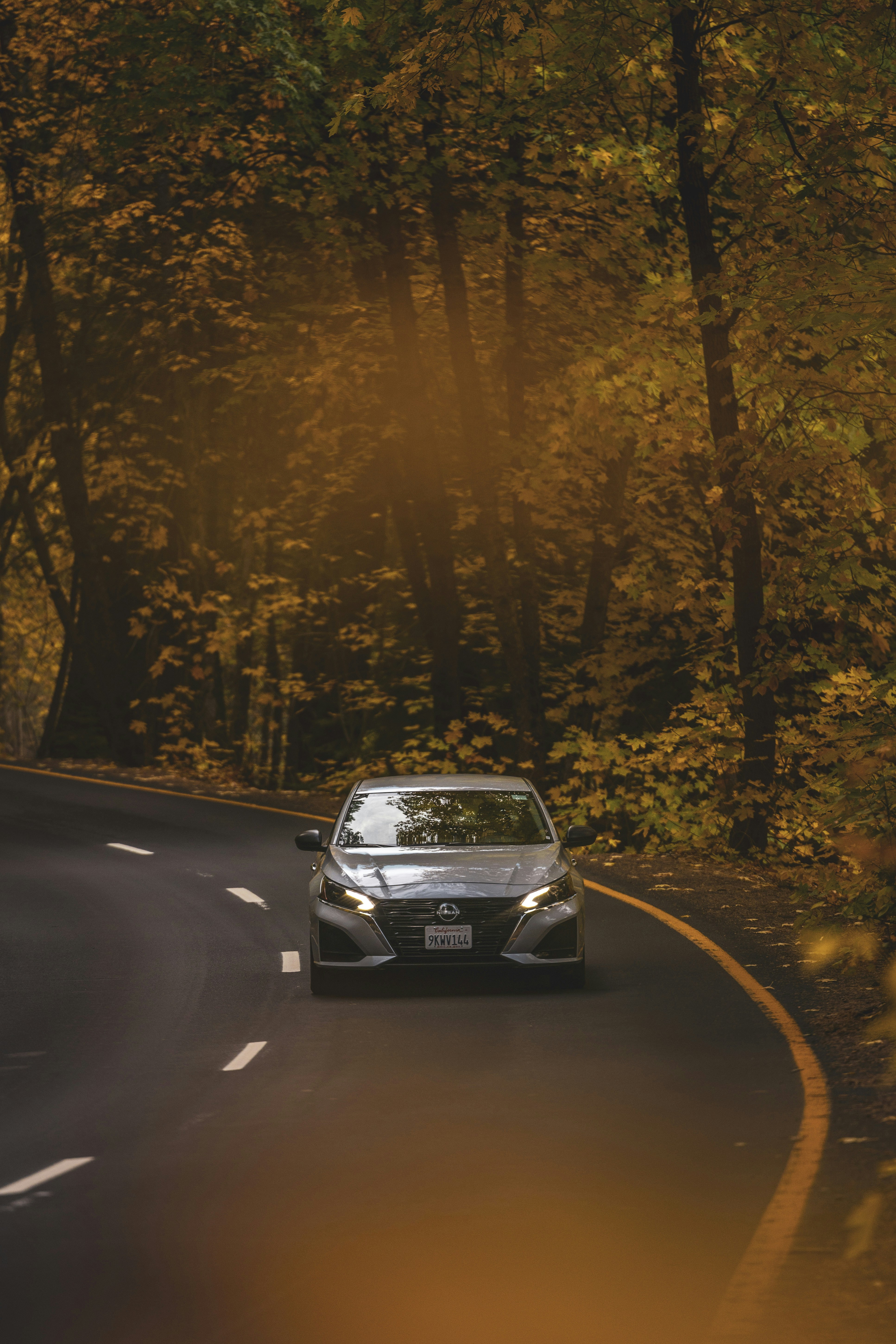 Photo by leo_visions_